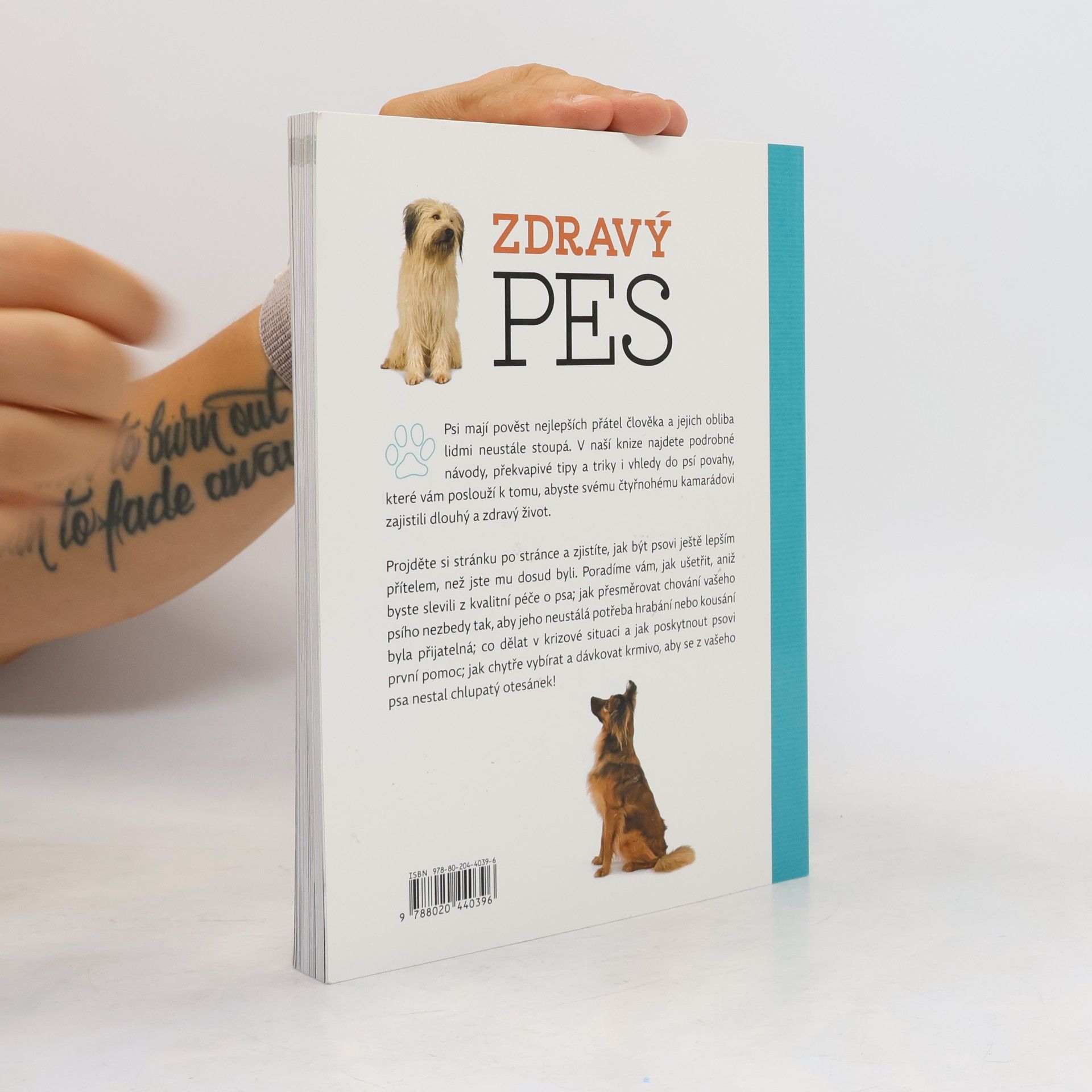 Arden Moore Zdravý pes: Tipy & triky jak zajistit vašemu psovi delší, zdravější a šťastnější život
