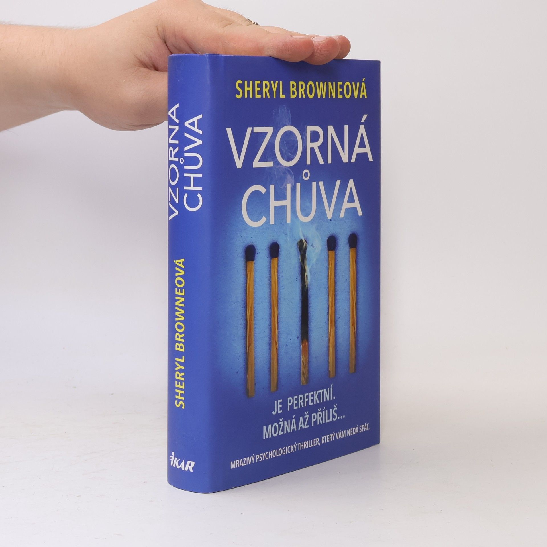 Sheryl Browne Vzorná chůva