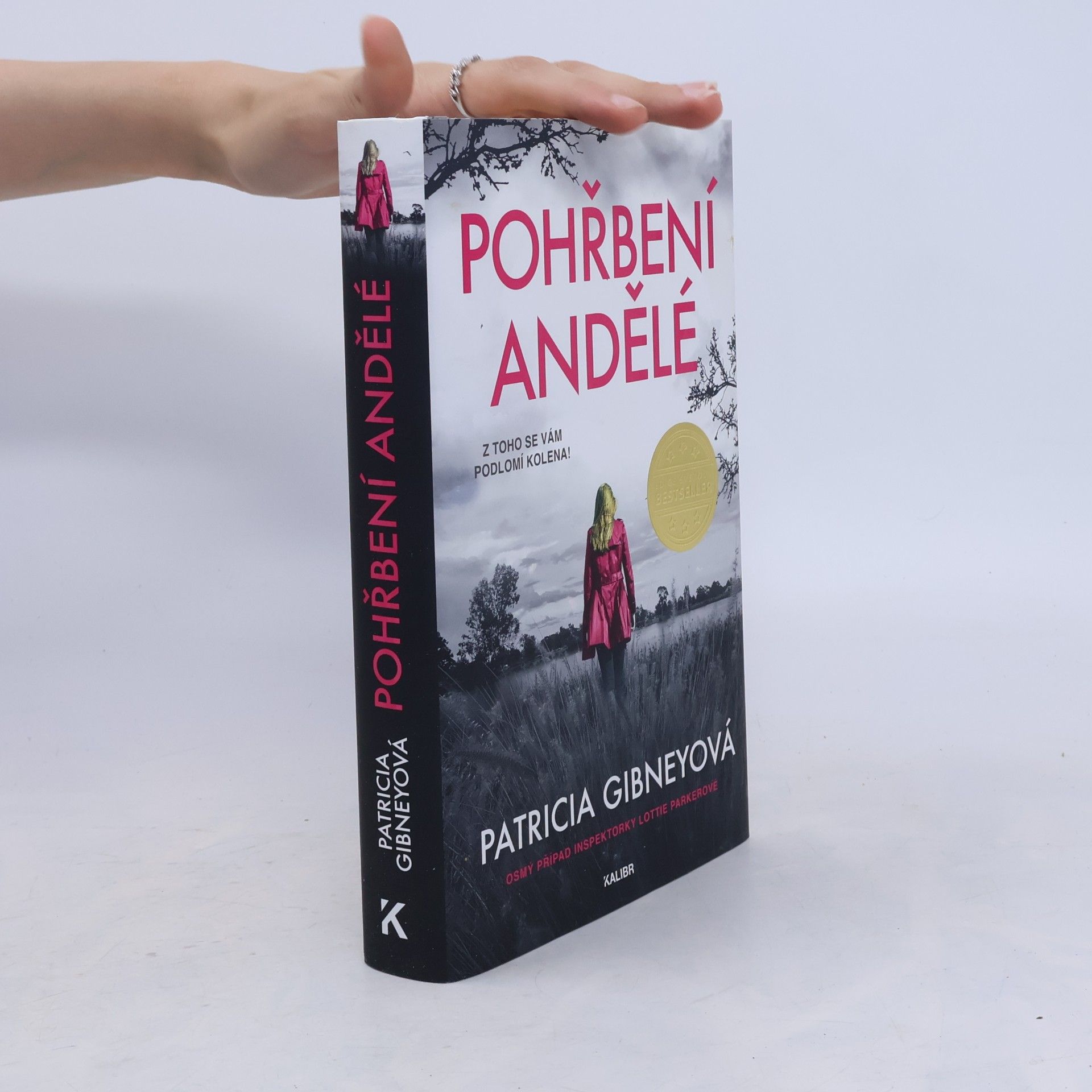 Patricia Gibney Pohřbení andělé
