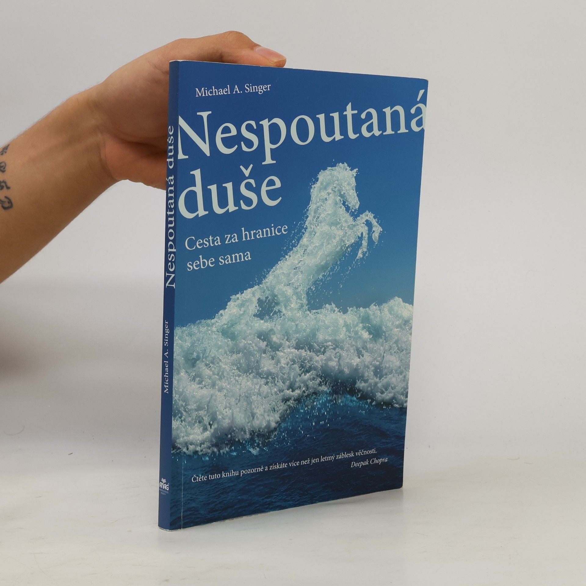 Michael A. Singer Nespoutaná duše