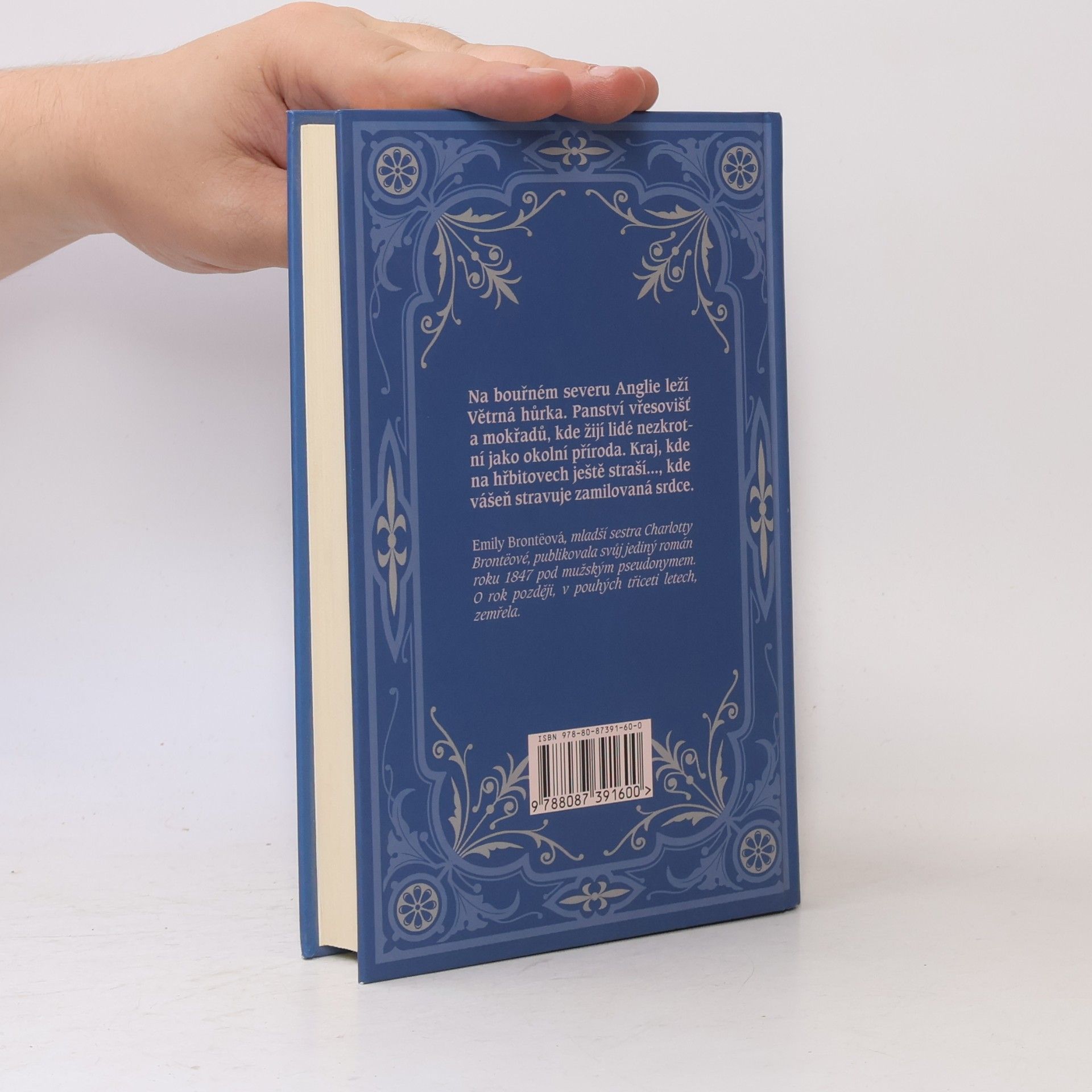 Emily Brontë Na větrné hůrce