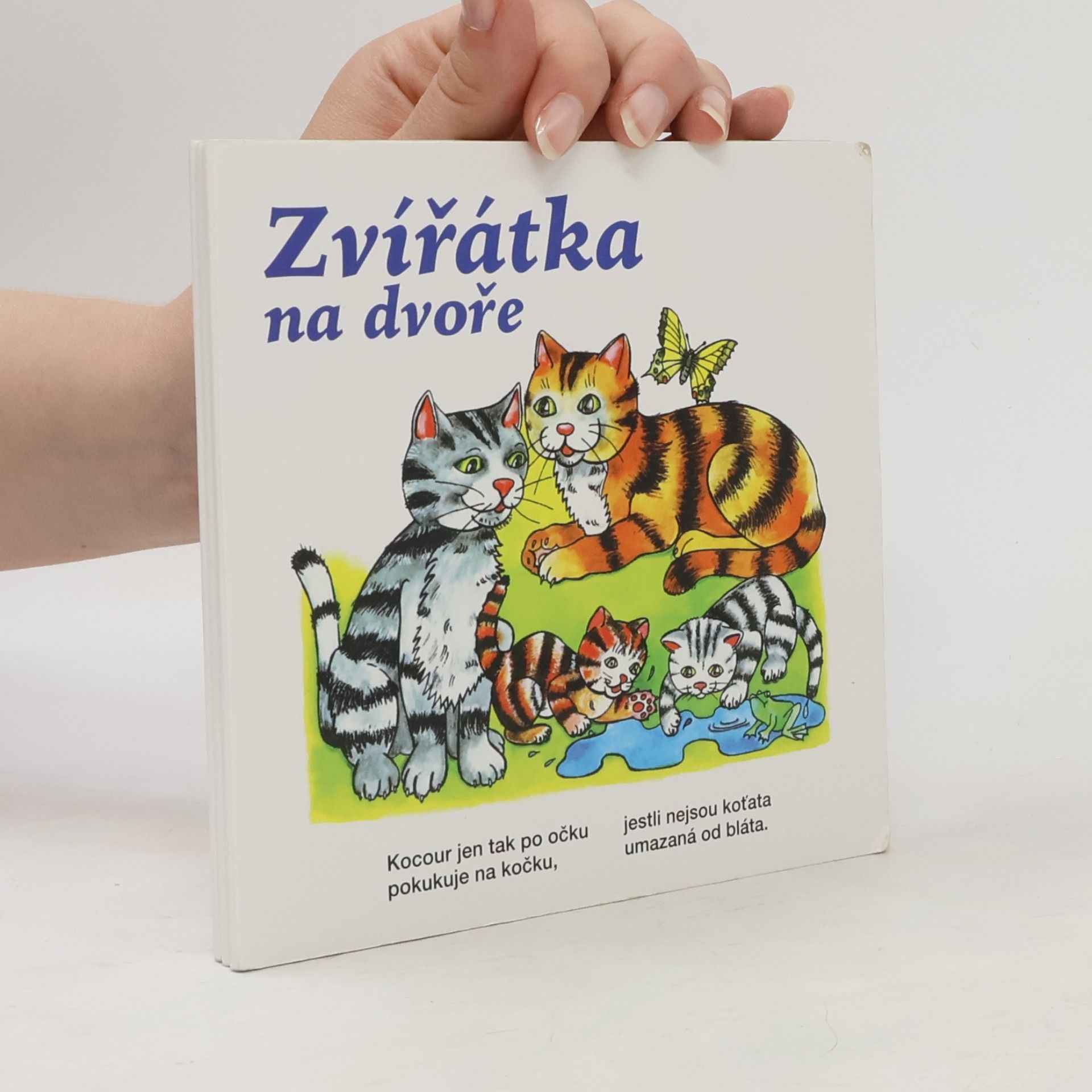 Arnošt Vít Zvířátka na dvoře