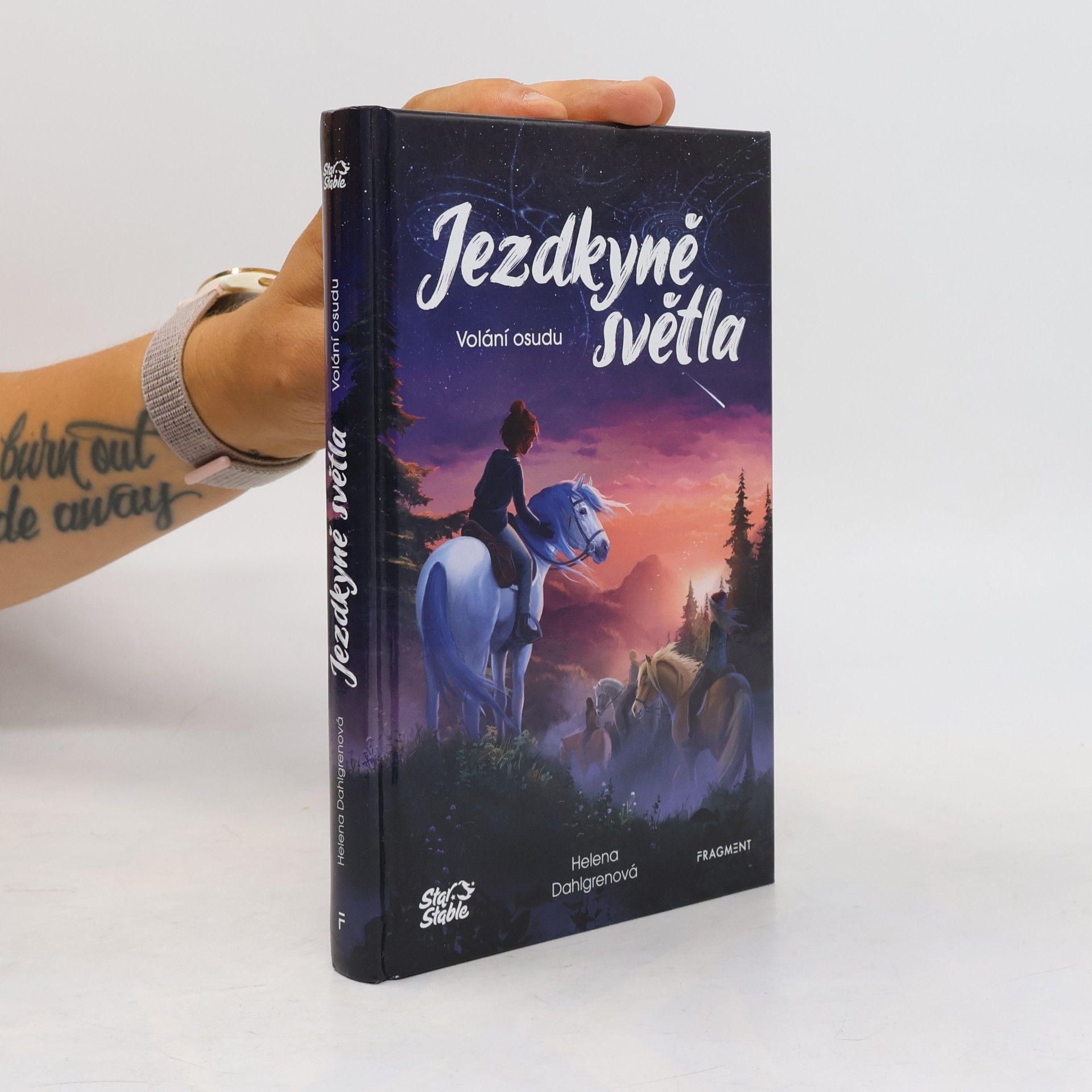 Helena Dahlgren Jezdkyně světla. Volání osudu