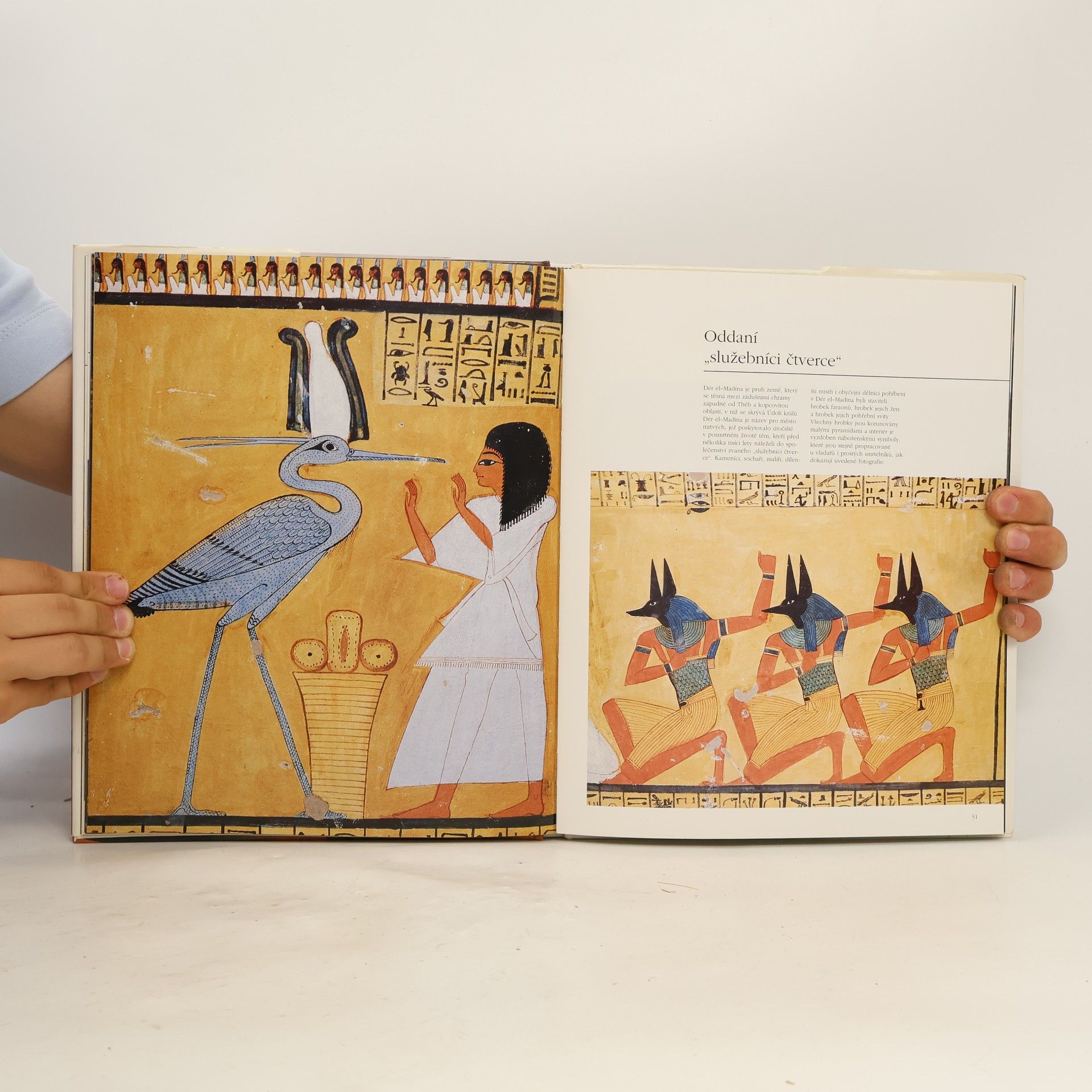 Simonetta Crescimbene Egypt