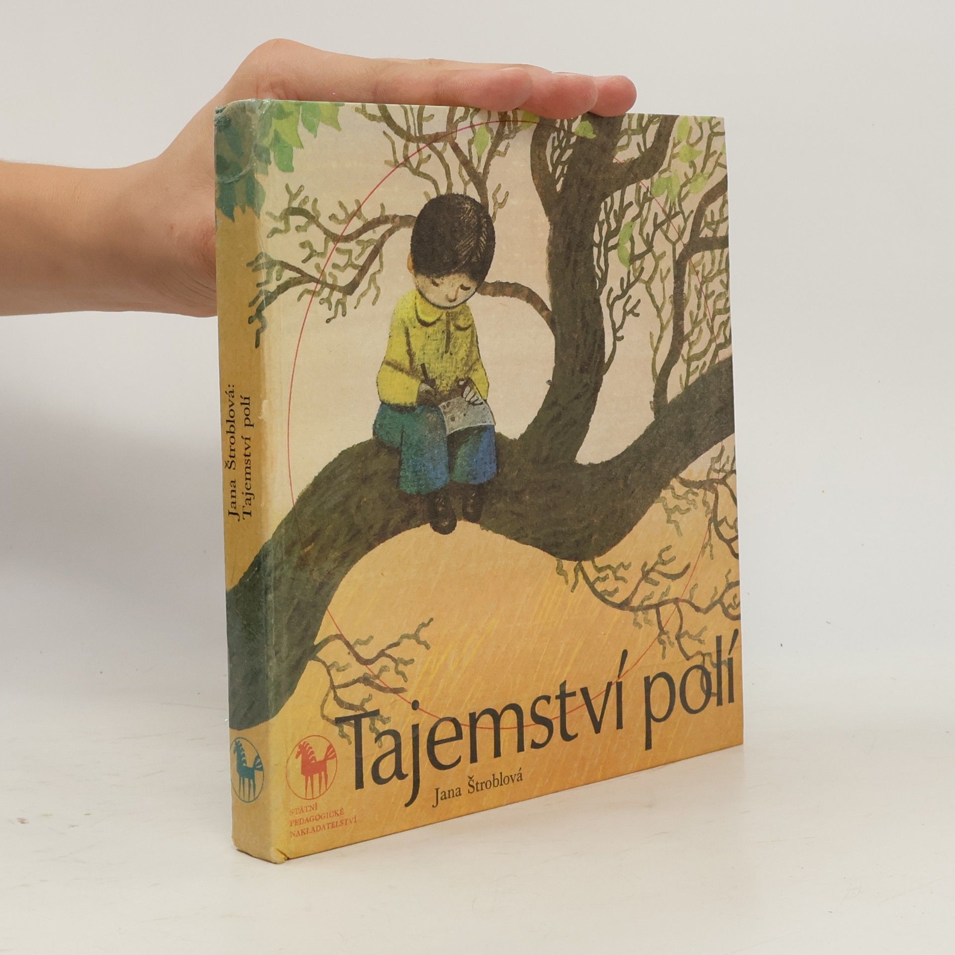 Jana Štroblová Tajemství polí