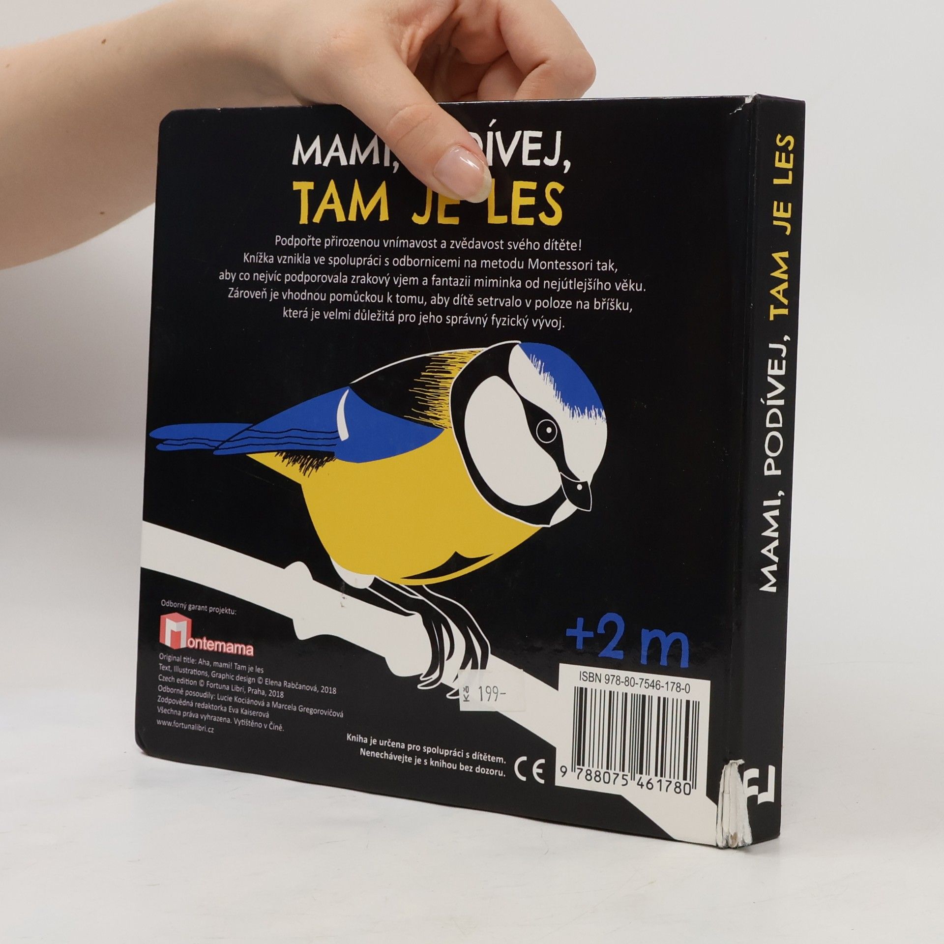 Elena Rabčanová Mami, podívej, tam je les