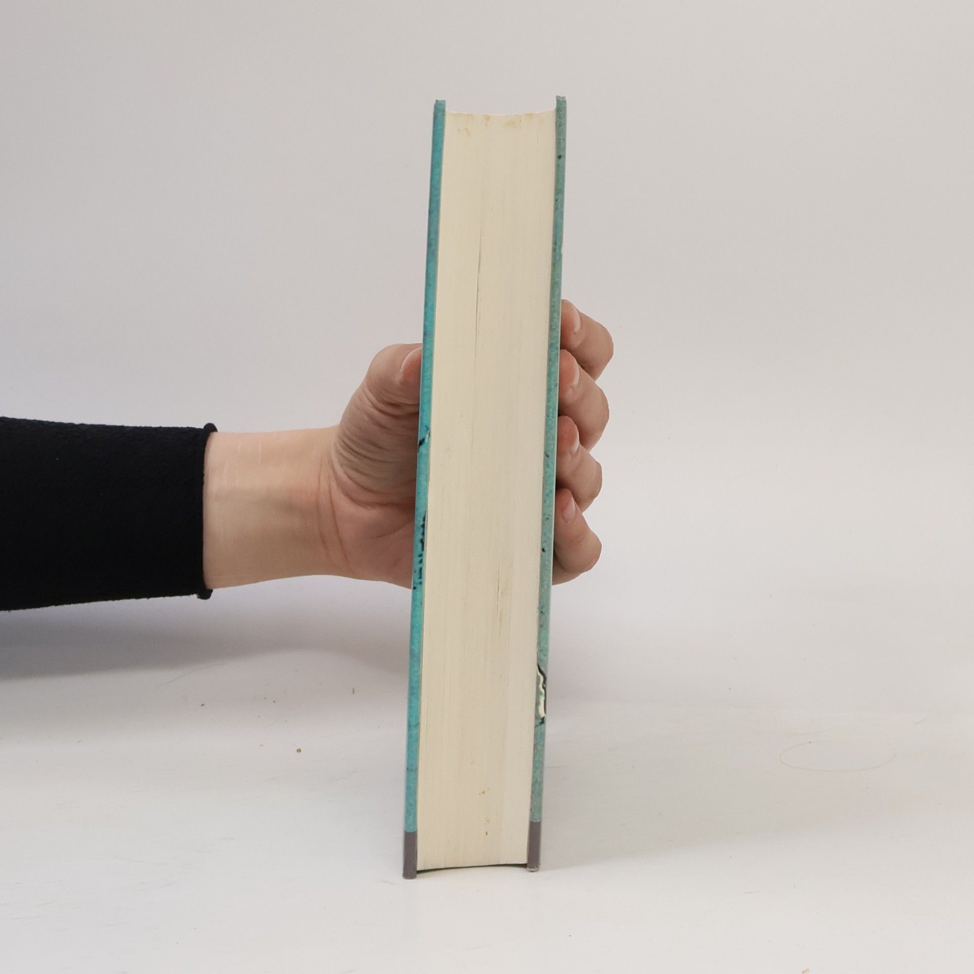Georg Bollenbeck Tradition, Avantgarde, Reaktion