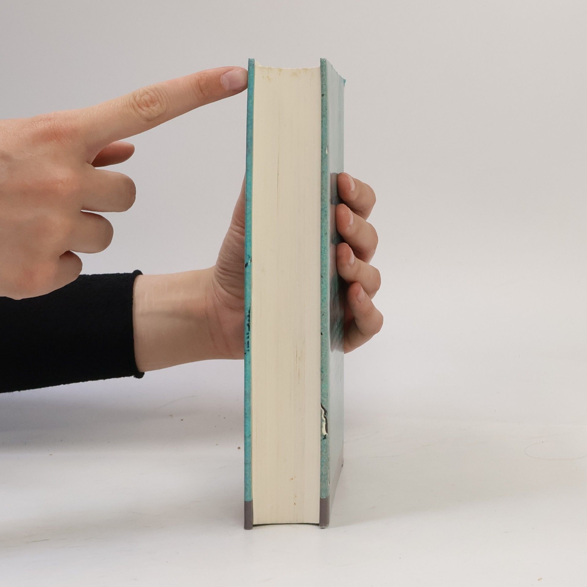 Georg Bollenbeck Tradition, Avantgarde, Reaktion