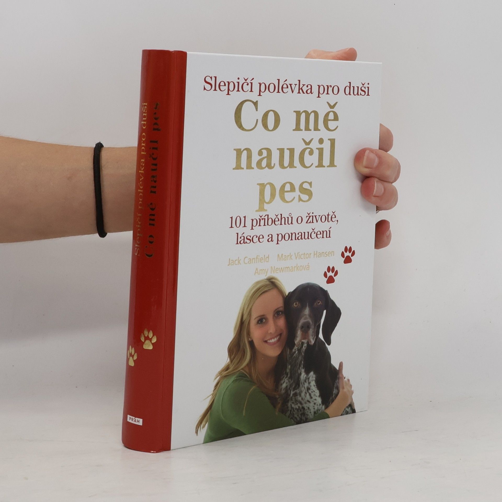 Amy Newmark Slepičí polévka pro duši. Co mě naučil pes