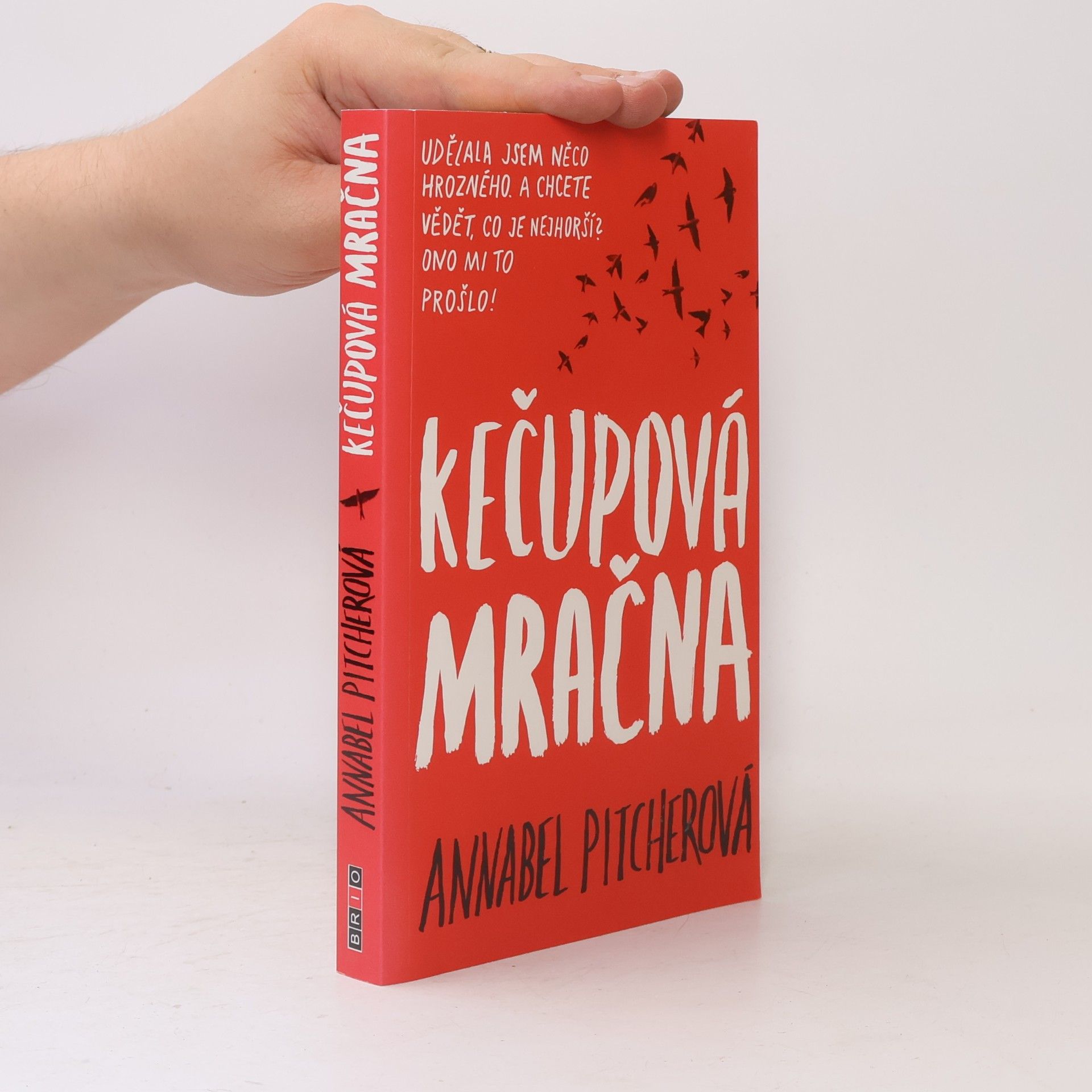 Annabel Pitcher Kečupová mračna
