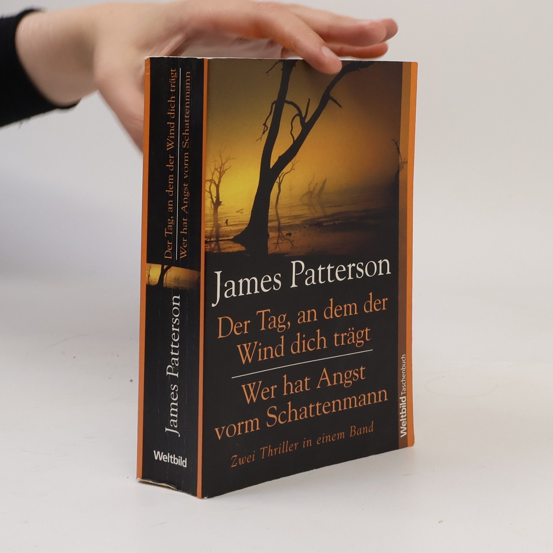 James Patterson Der Tag, an dem der Wind dich trägt