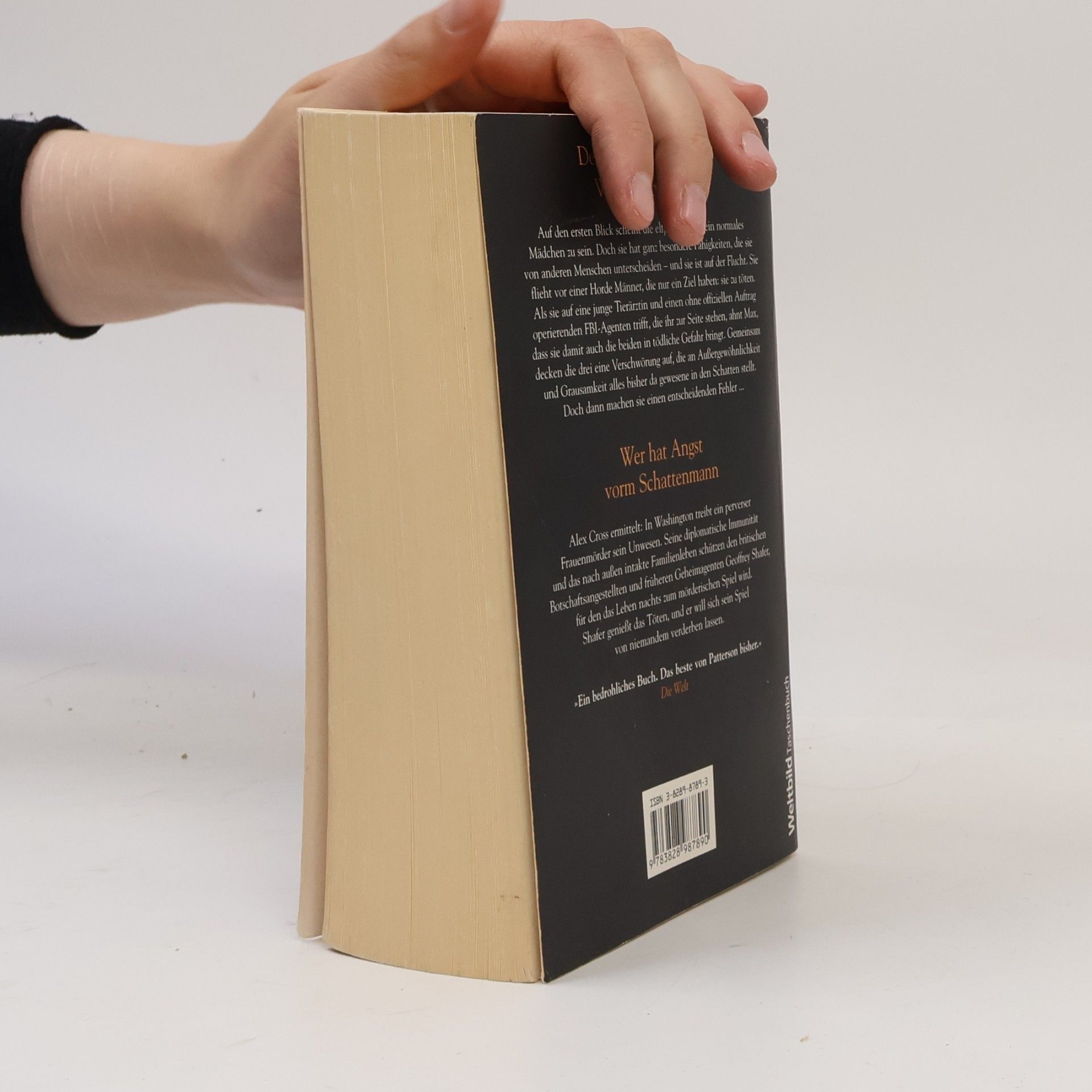 James Patterson Der Tag, an dem der Wind dich trägt