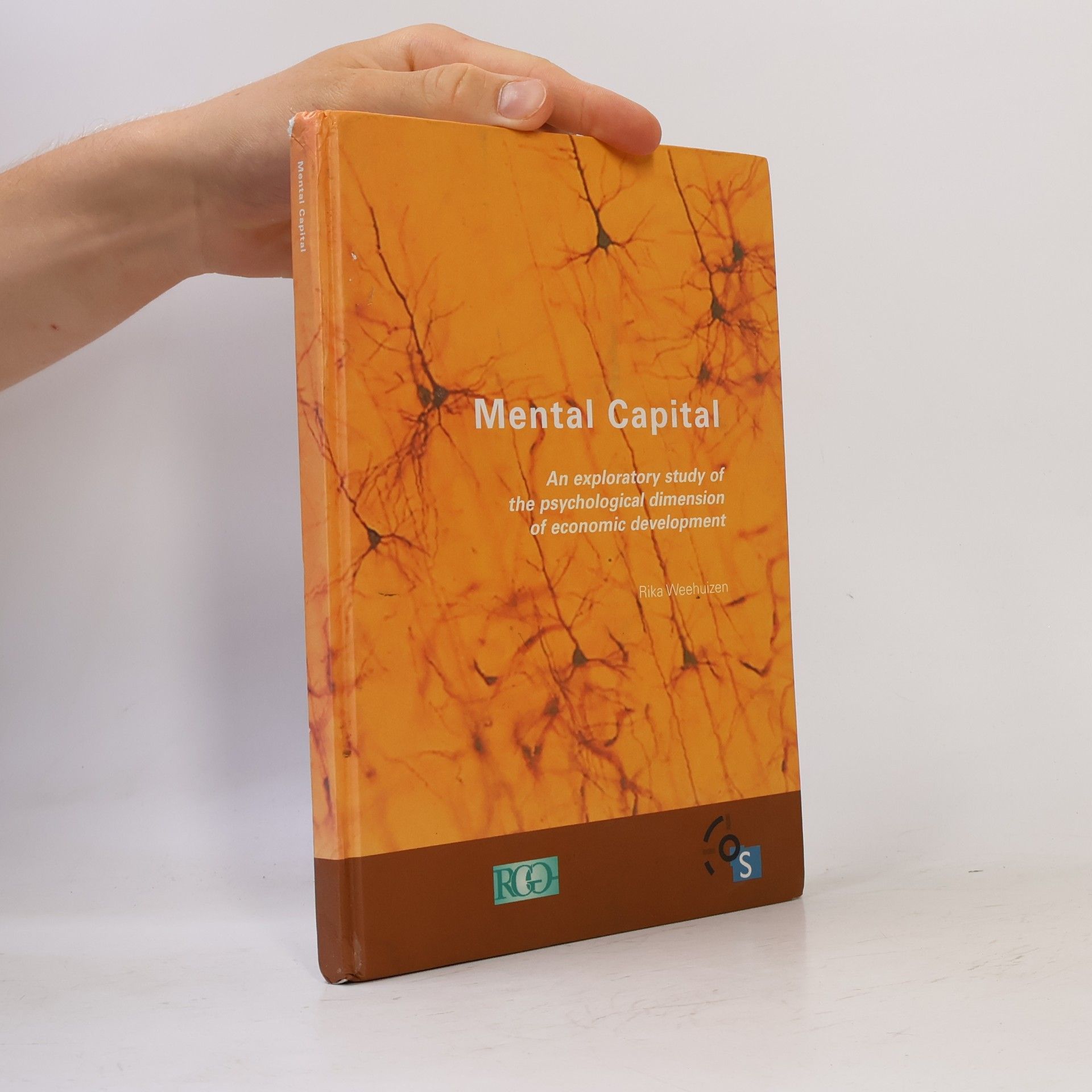 Rika Weehuizen Mental Capital: An exploratory study of the psychological dimension of economic development.