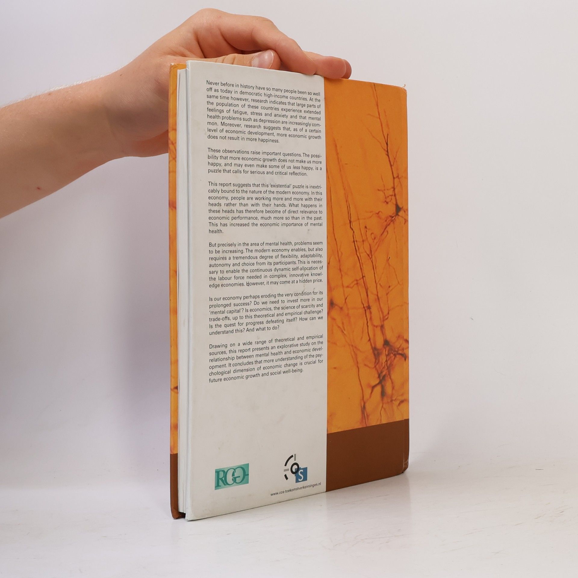 Rika Weehuizen Mental Capital: An exploratory study of the psychological dimension of economic development.