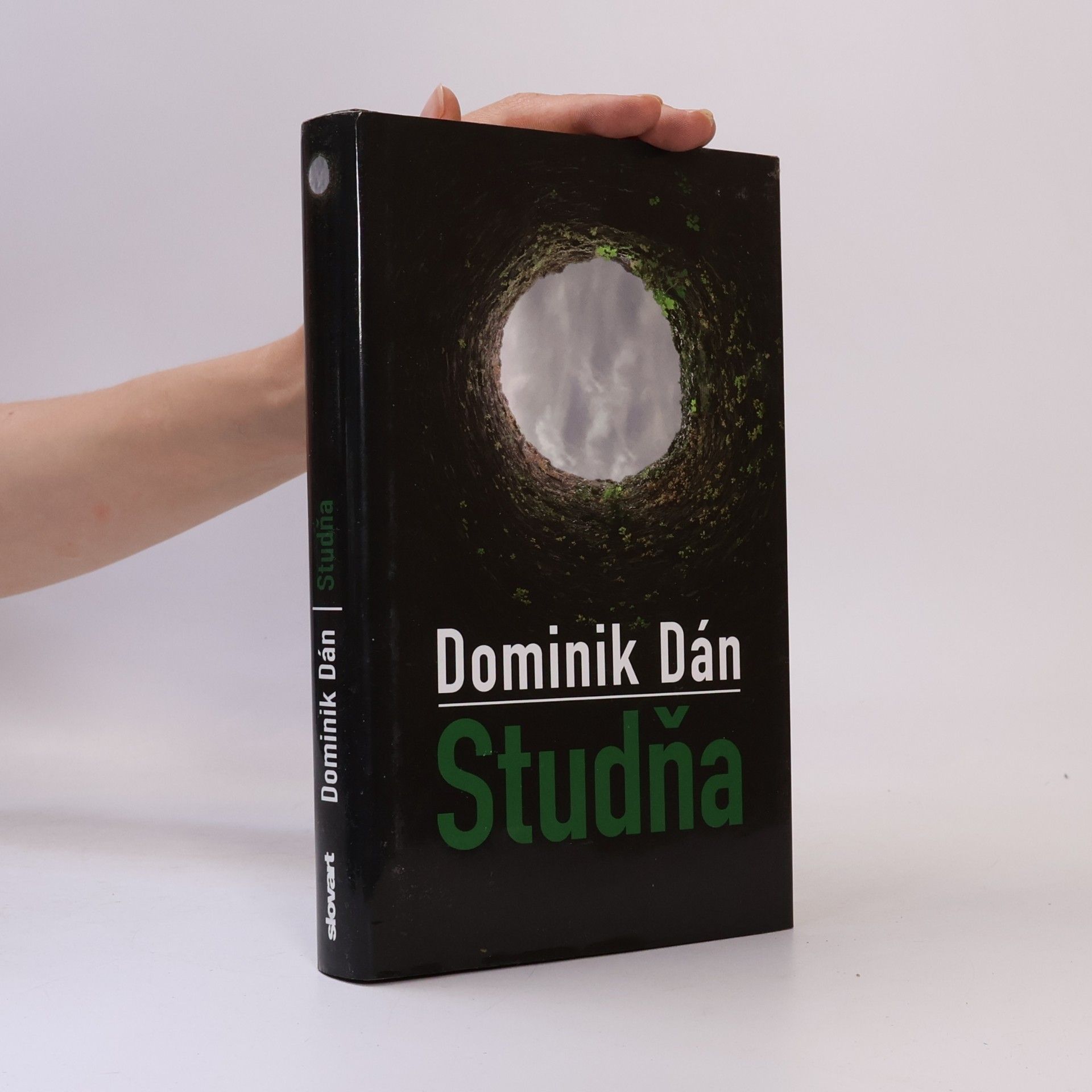 Dominik Dán Studňa