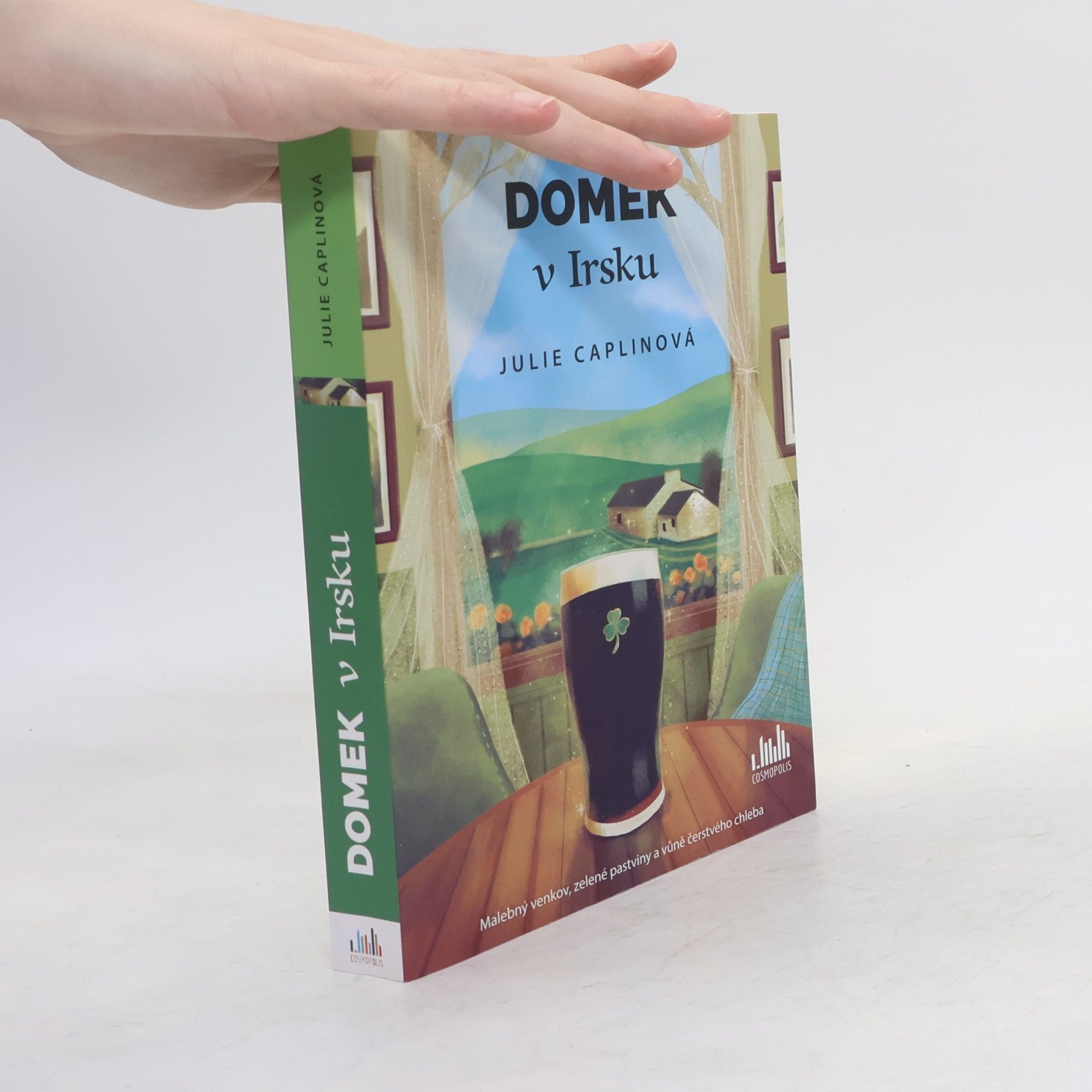 Julie Caplin Domek v Irsku