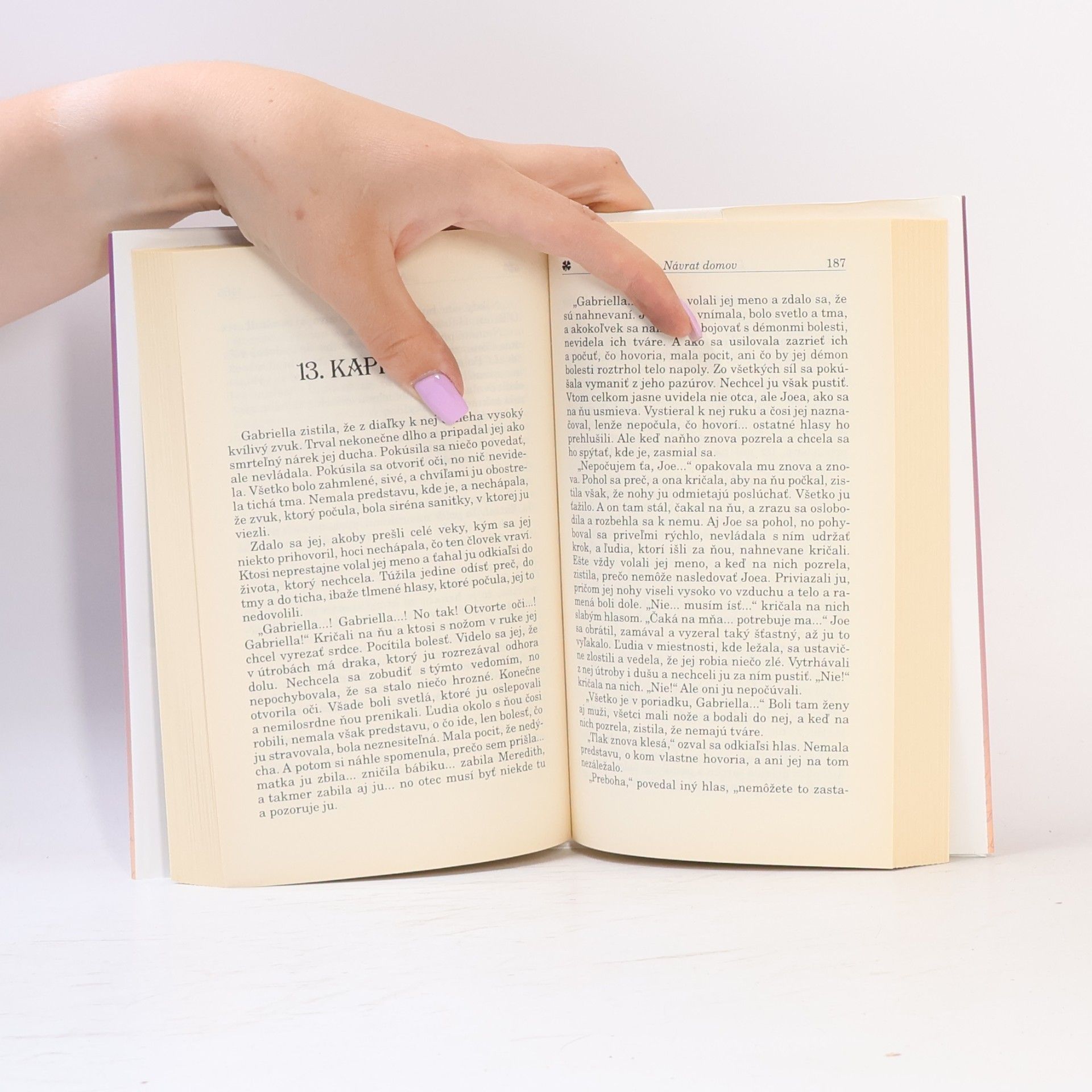 Danielle Steel Návrat domov