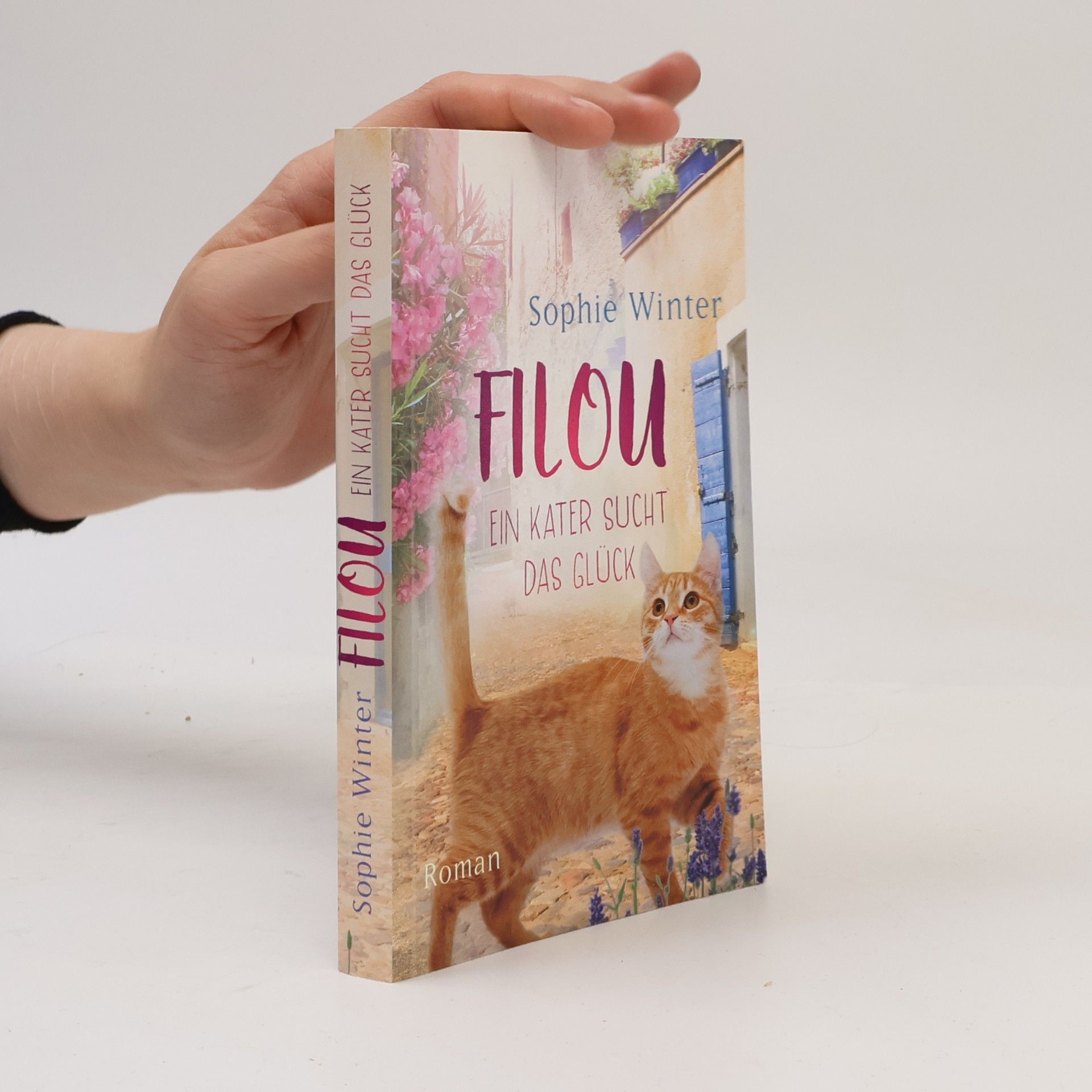 Sophie Winter Filou. Ein Kater sucht das Glück