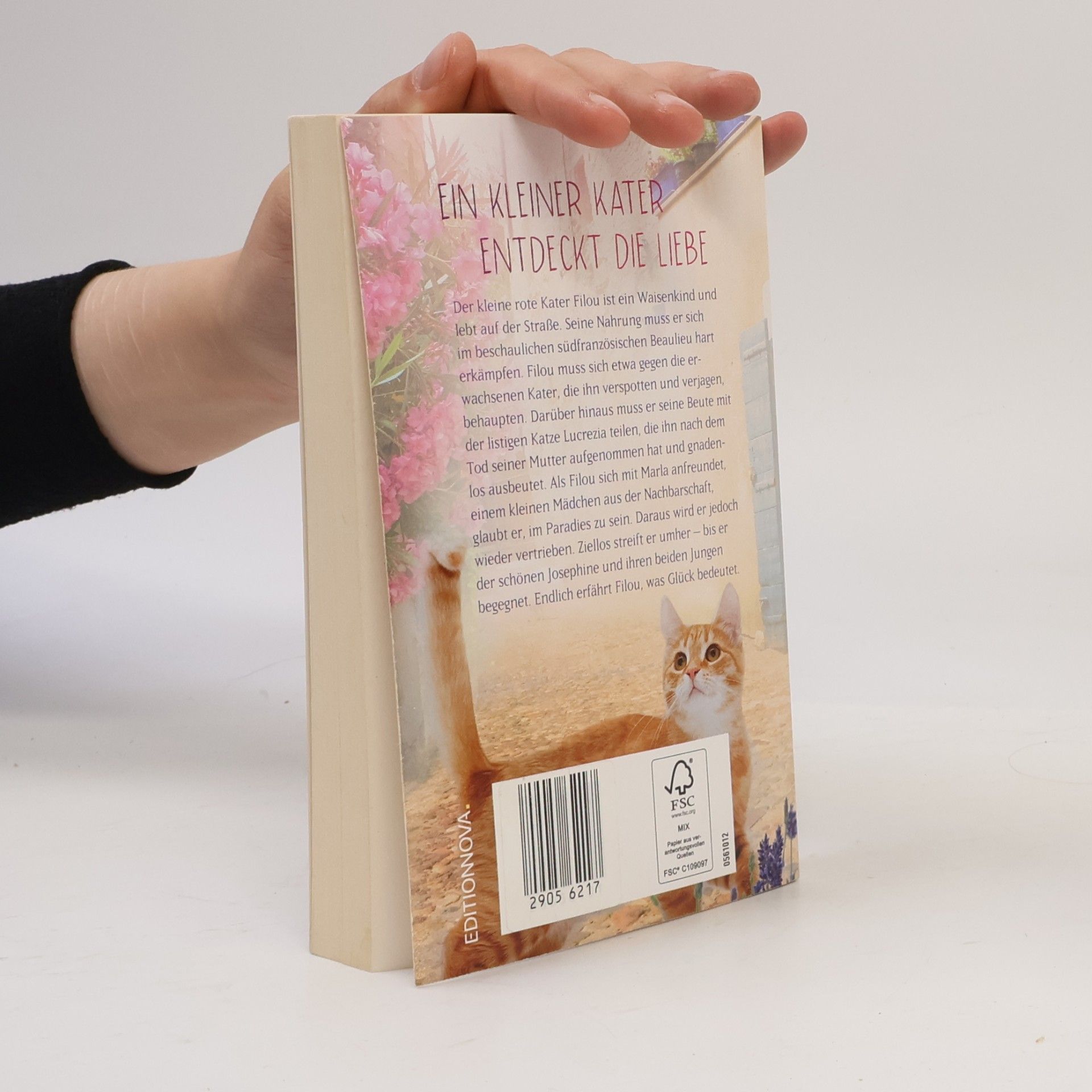 Sophie Winter Filou. Ein Kater sucht das Glück