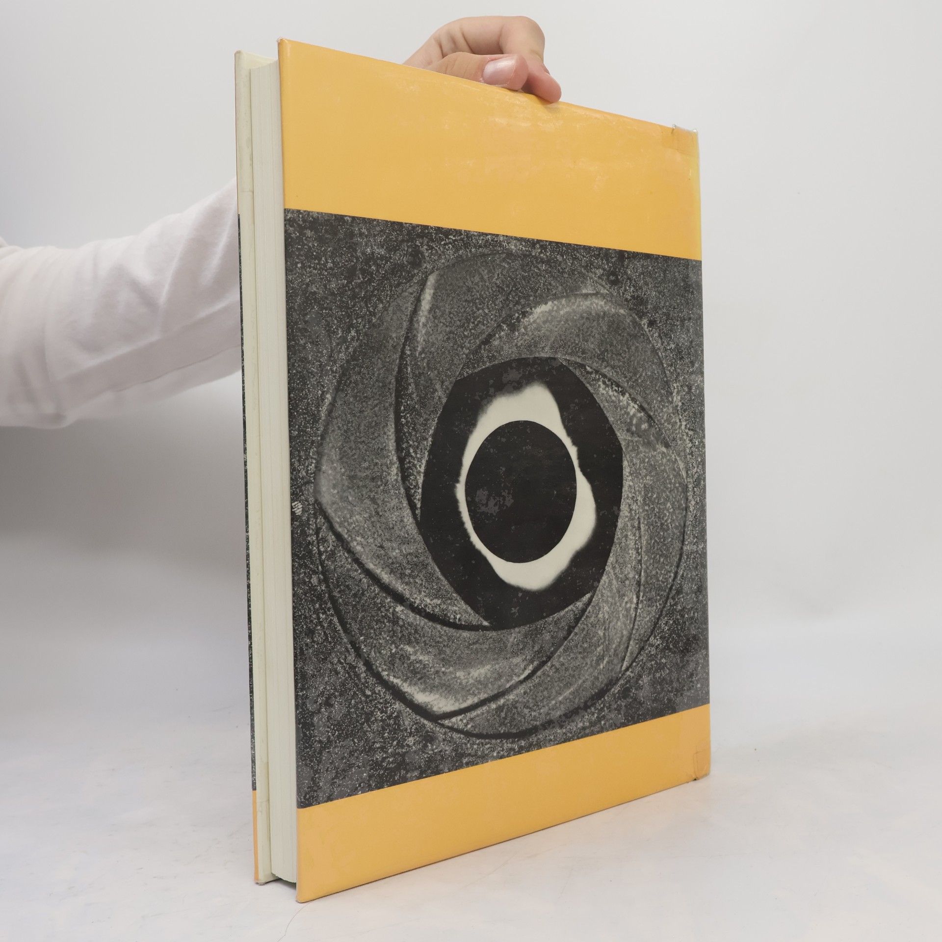 Ruth Henry Das Zeitalter der Photographie