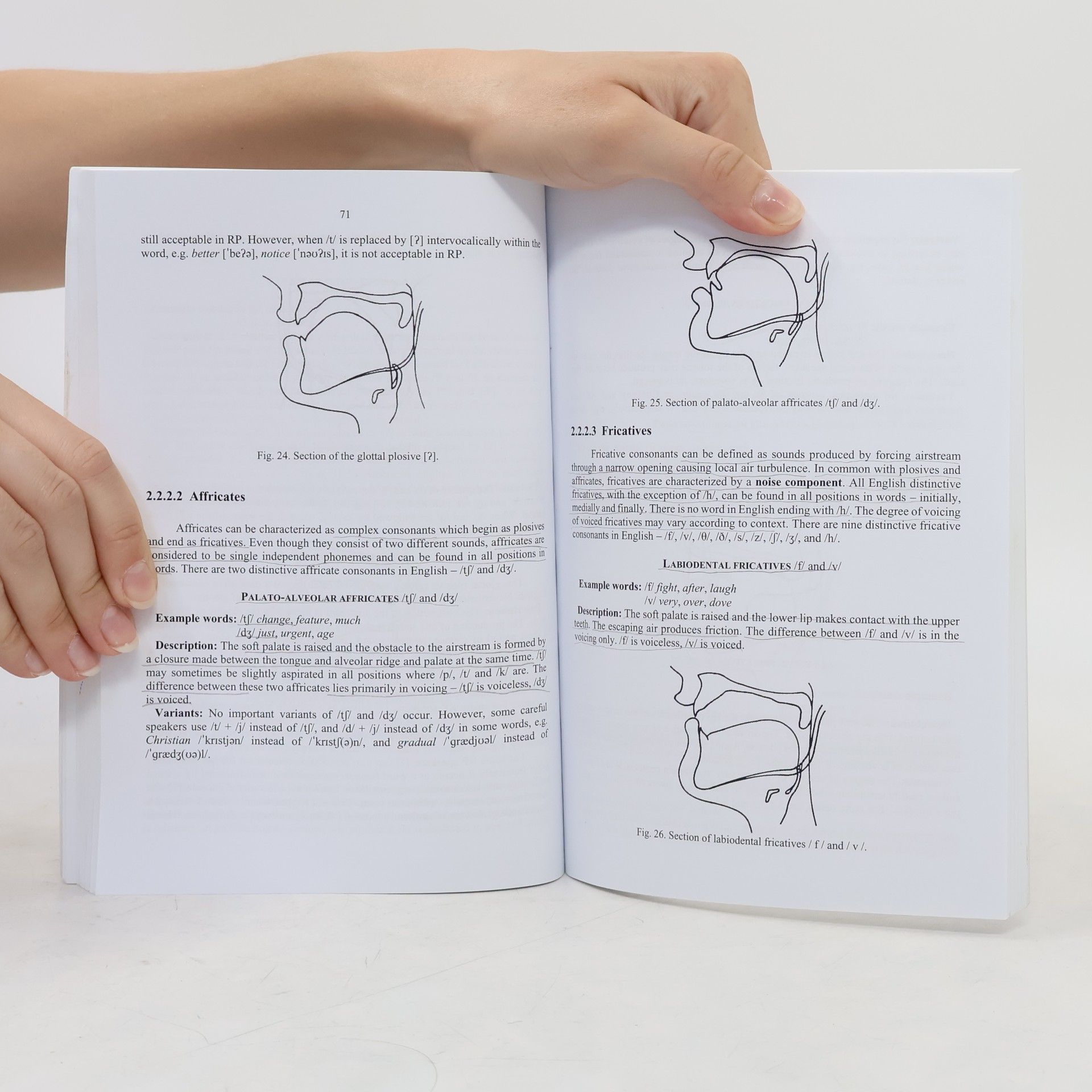 Radoslav Pavlík A Short Introduction to English Phonetics and Phonology