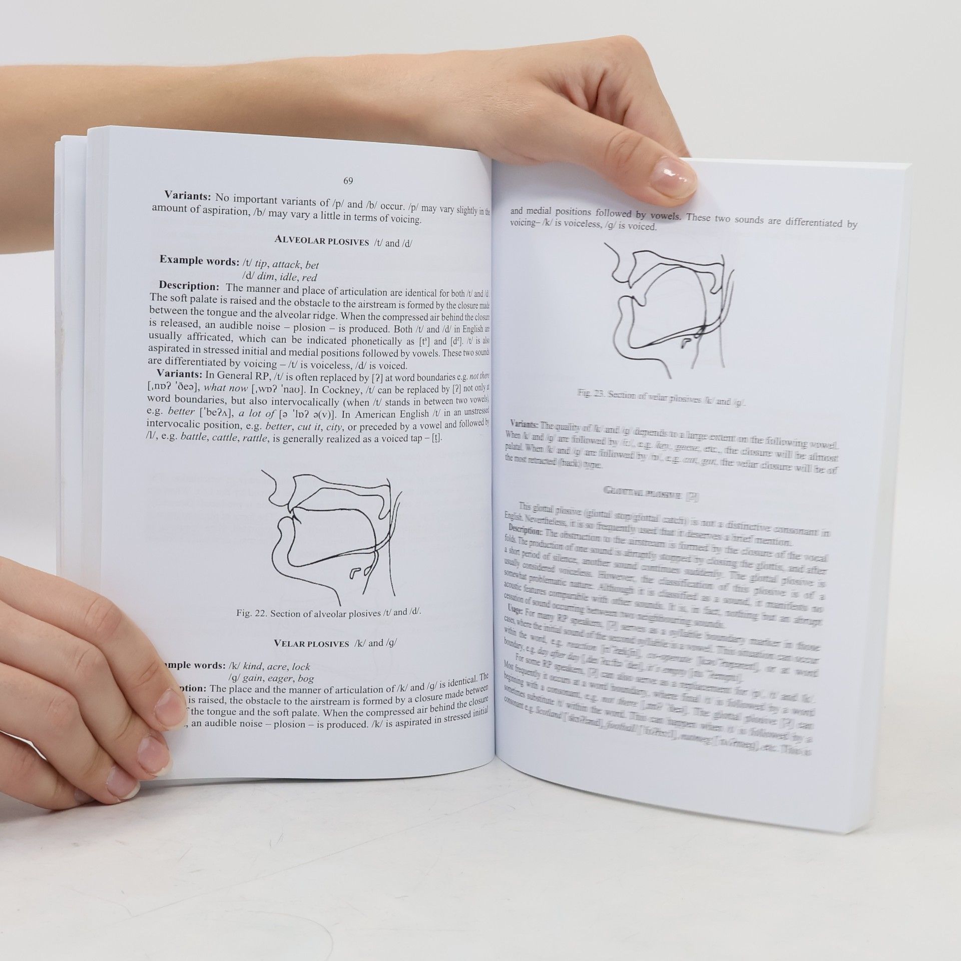 Radoslav Pavlík A Short Introduction to English Phonetics and Phonology