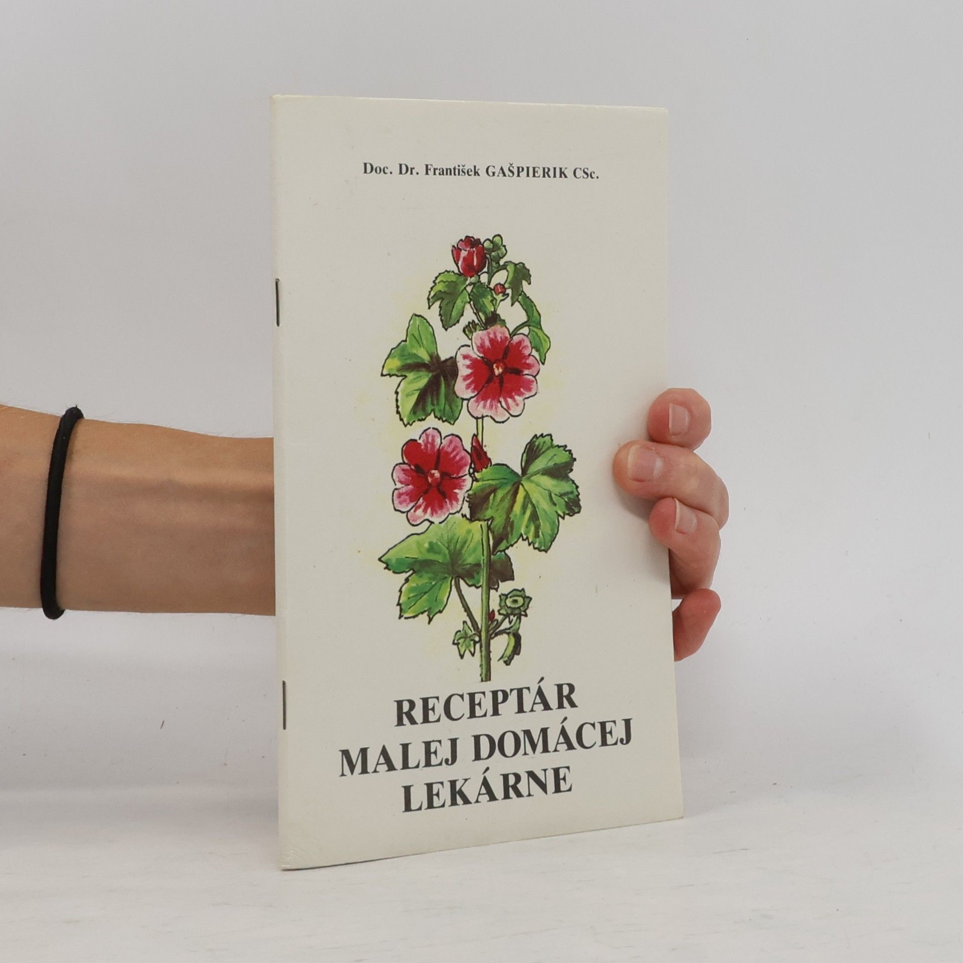 František Gašpierik Receptár malej domácej lekárne