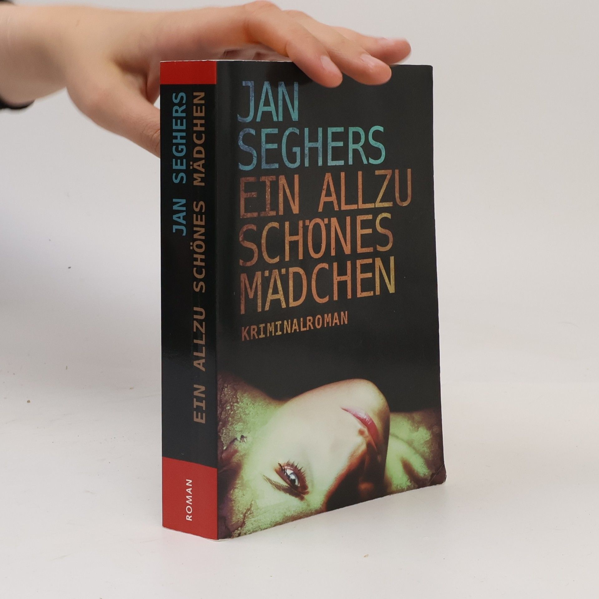 Jan Seghers Ein Allzu schönes Mädchen