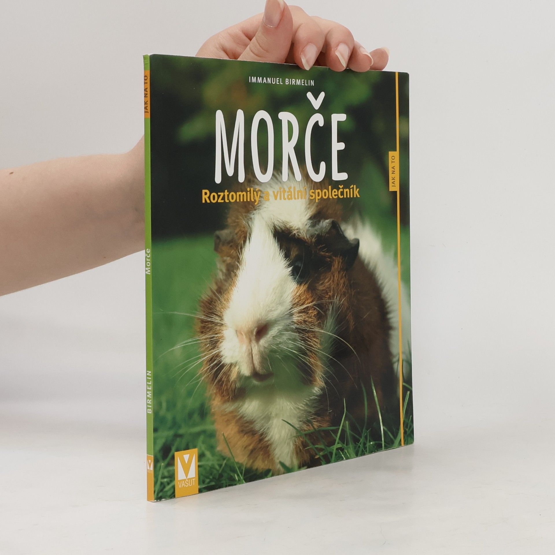 Morče. Roztomilý a vitální společník