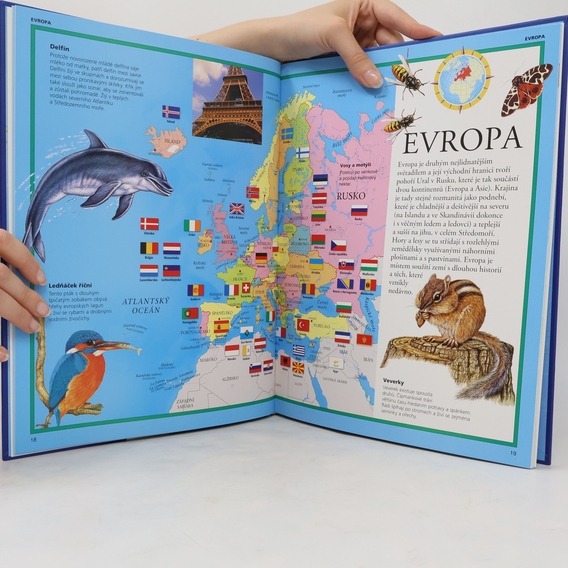 Barbora Kalvodová Atlas zvířat
