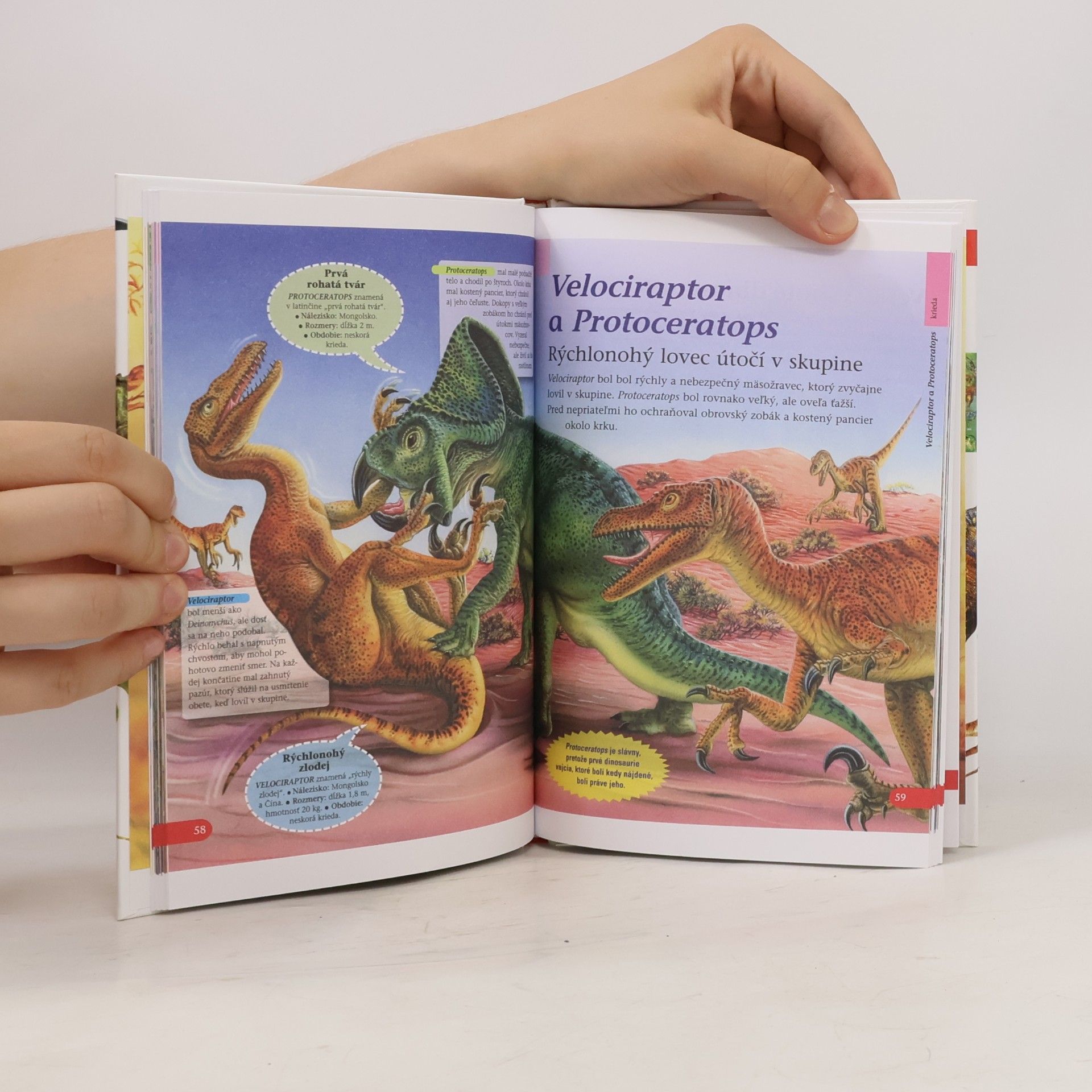 Autorenkollektiv Dinosaury