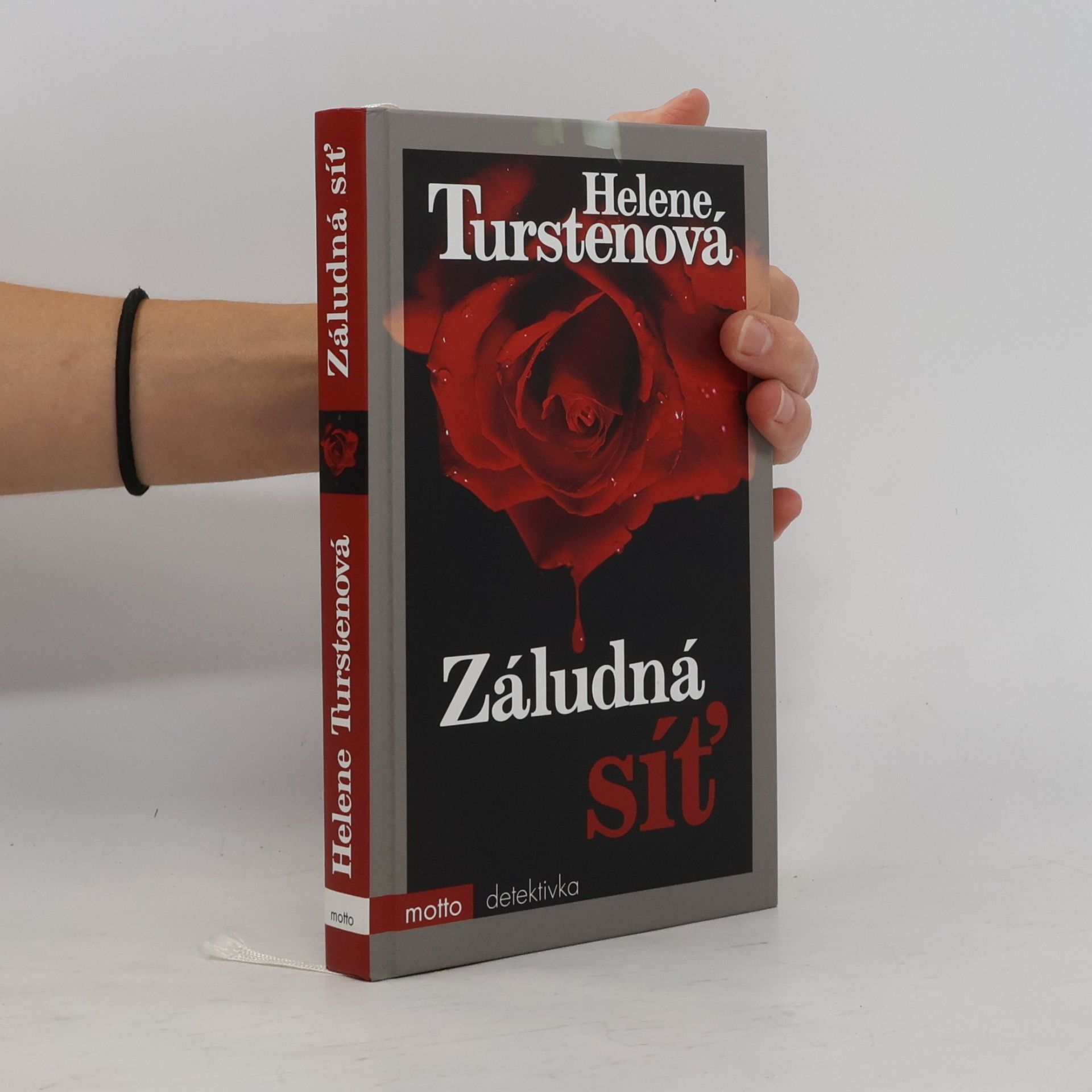 Helene Tursten Záludná síť