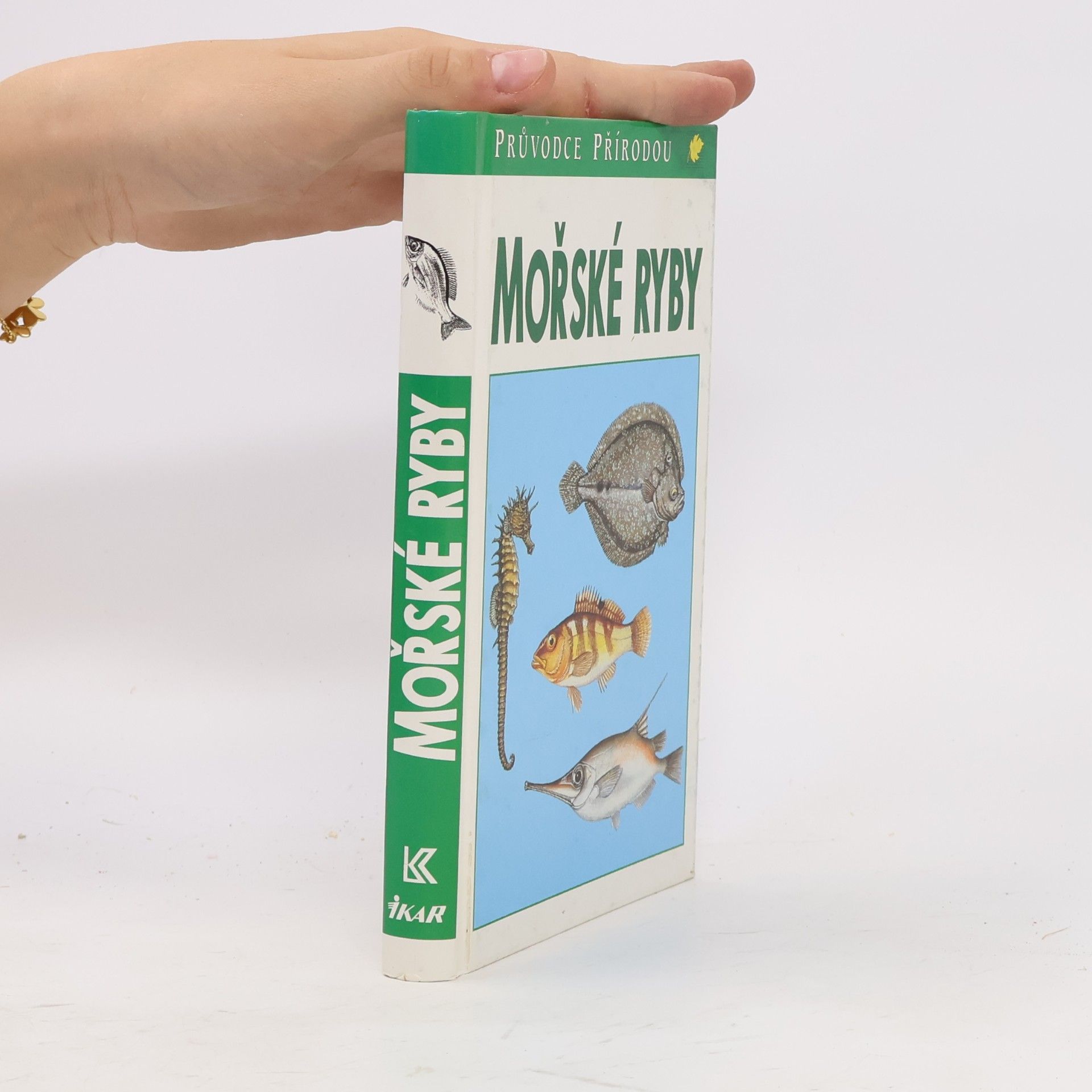 Friedhelm Sauer Mořské ryby v evropských vodách