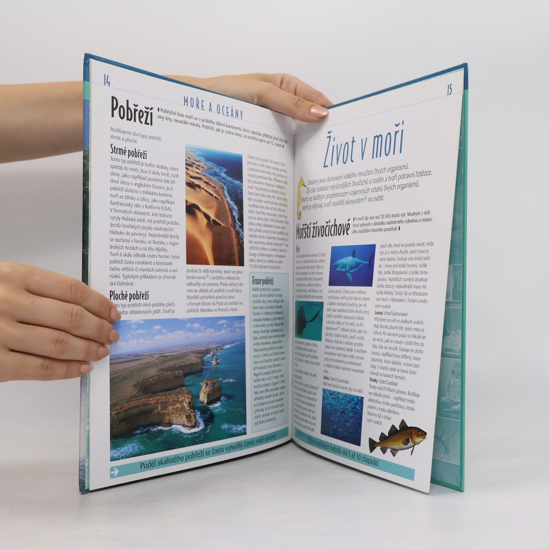 Autorenkollektiv Atlas pro mládež. Příroda. Moře a oceány.