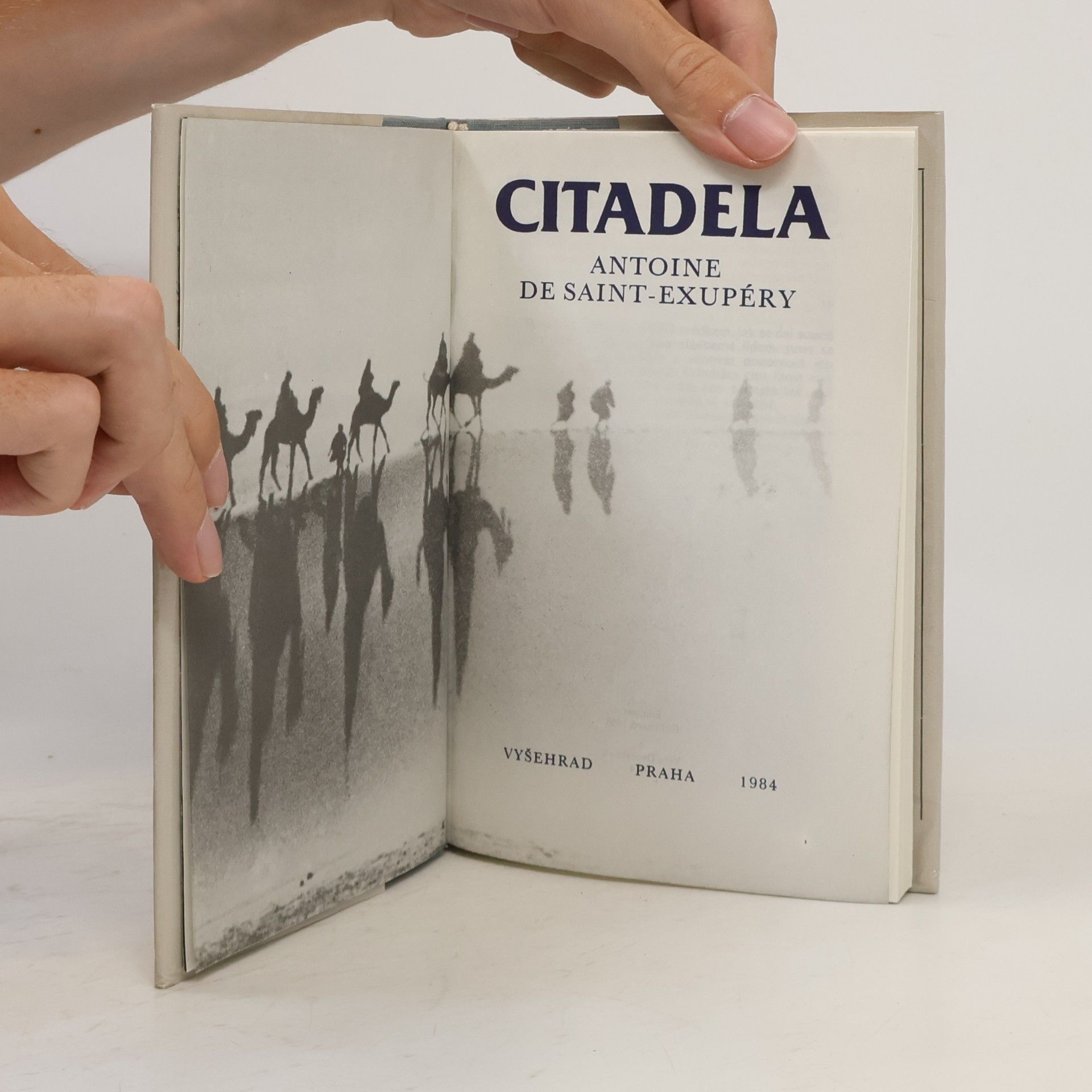 Antoine de Saint-Exupéry Citadela