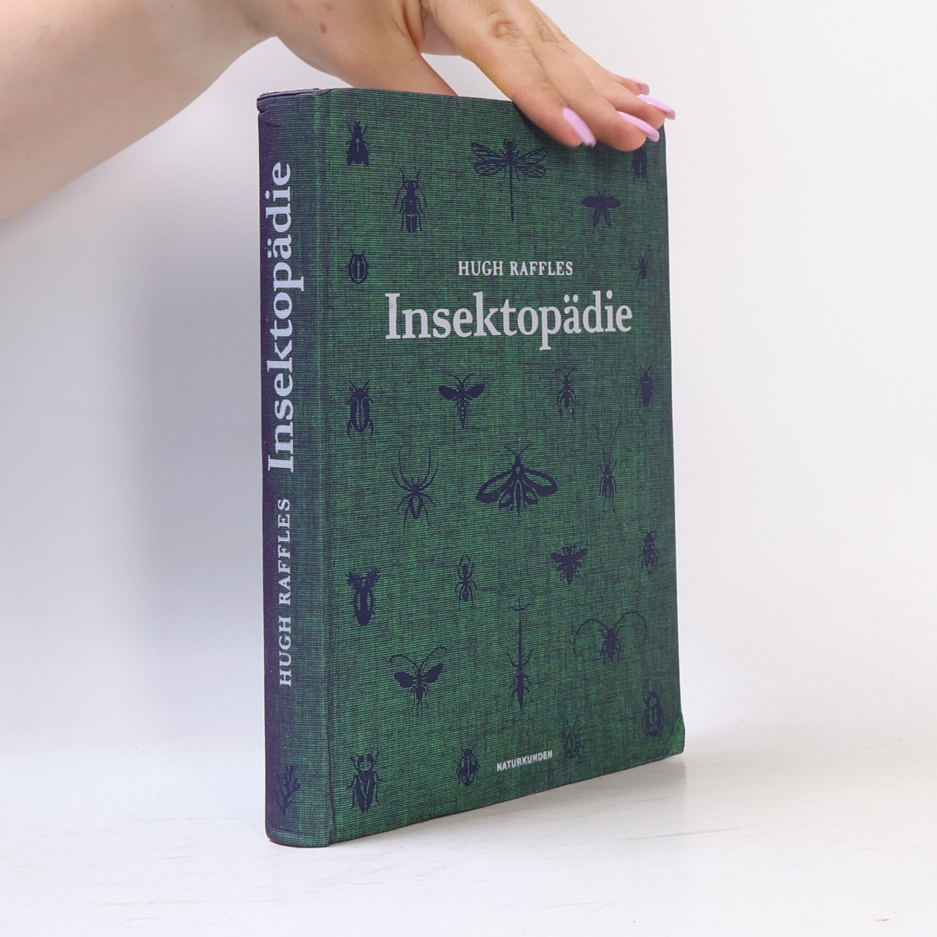 Hugh Raffles Naturkunden: Insektopädie