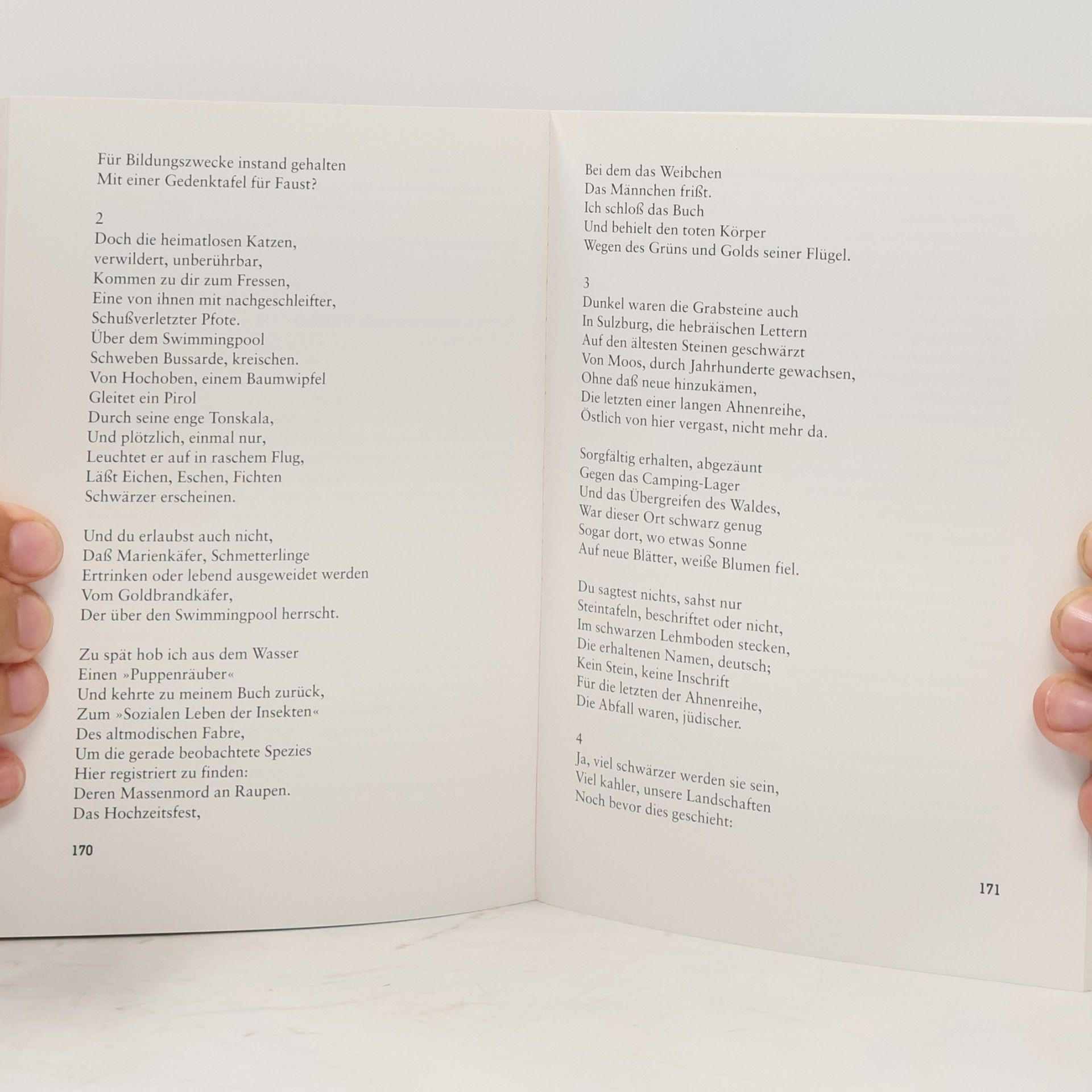 Peter Huchel Insel Taschenbuch: Peter Huchel