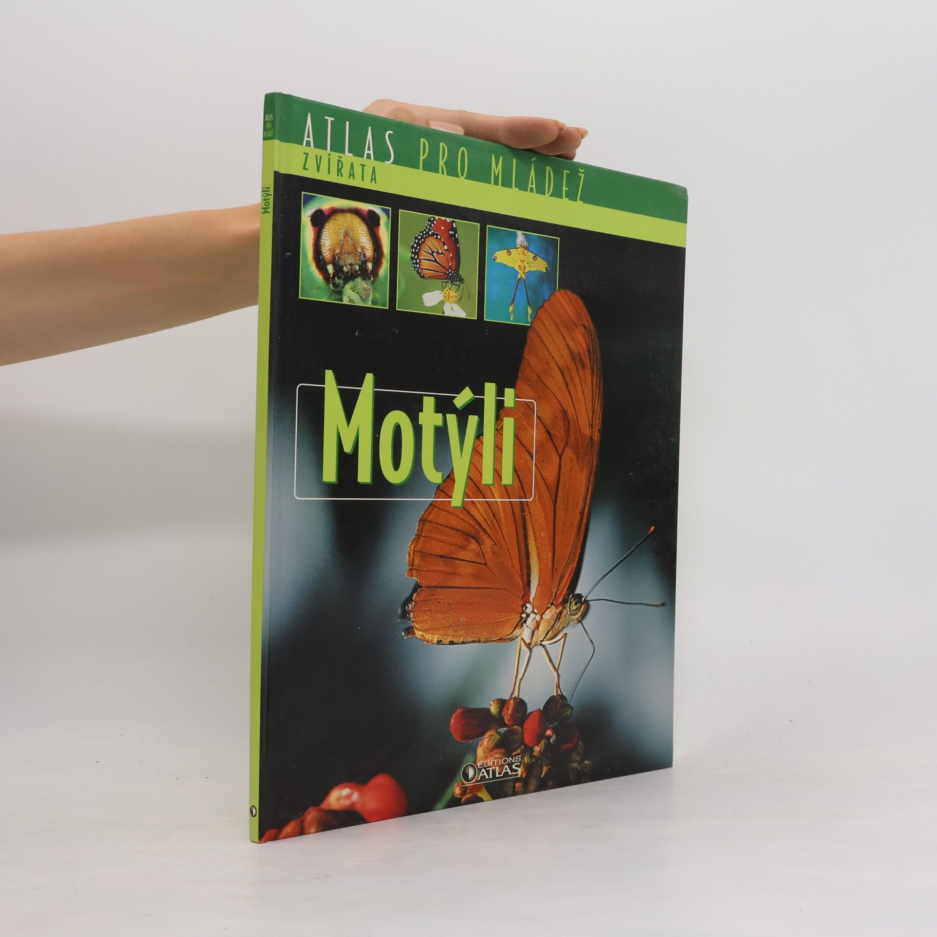 Collectif d'auteurs Motýli