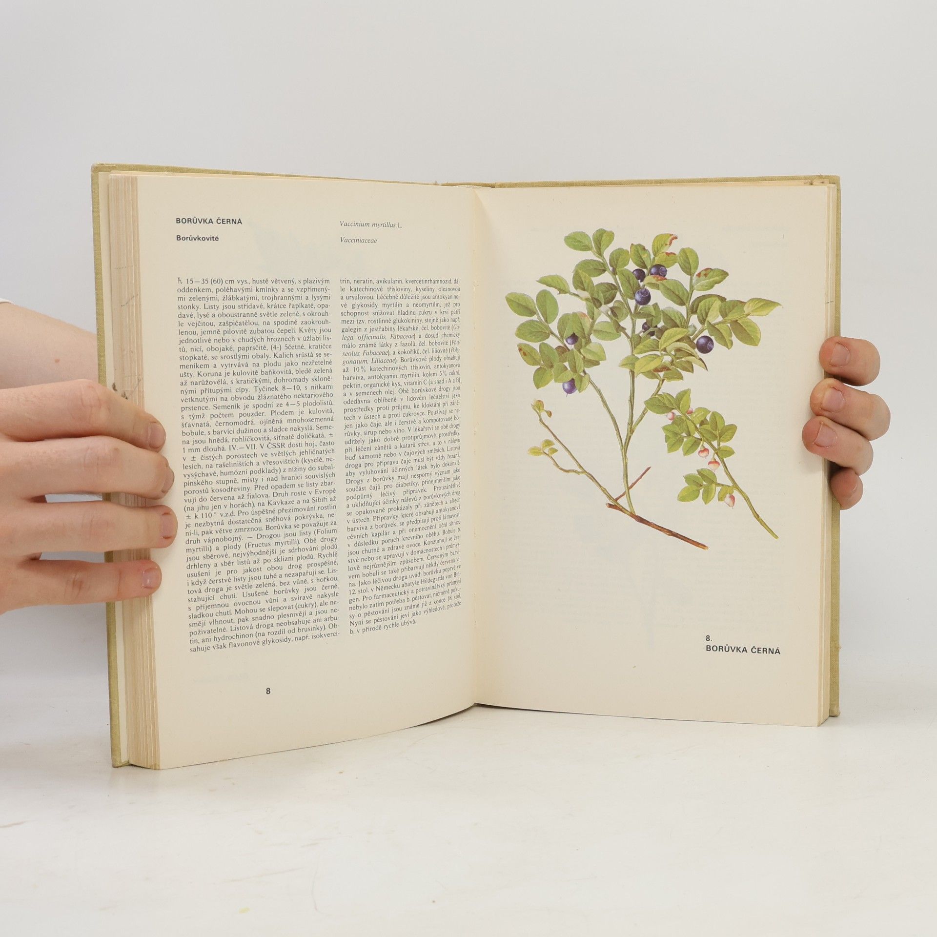 Václav Jirásek Atlas léčivých rostlin
