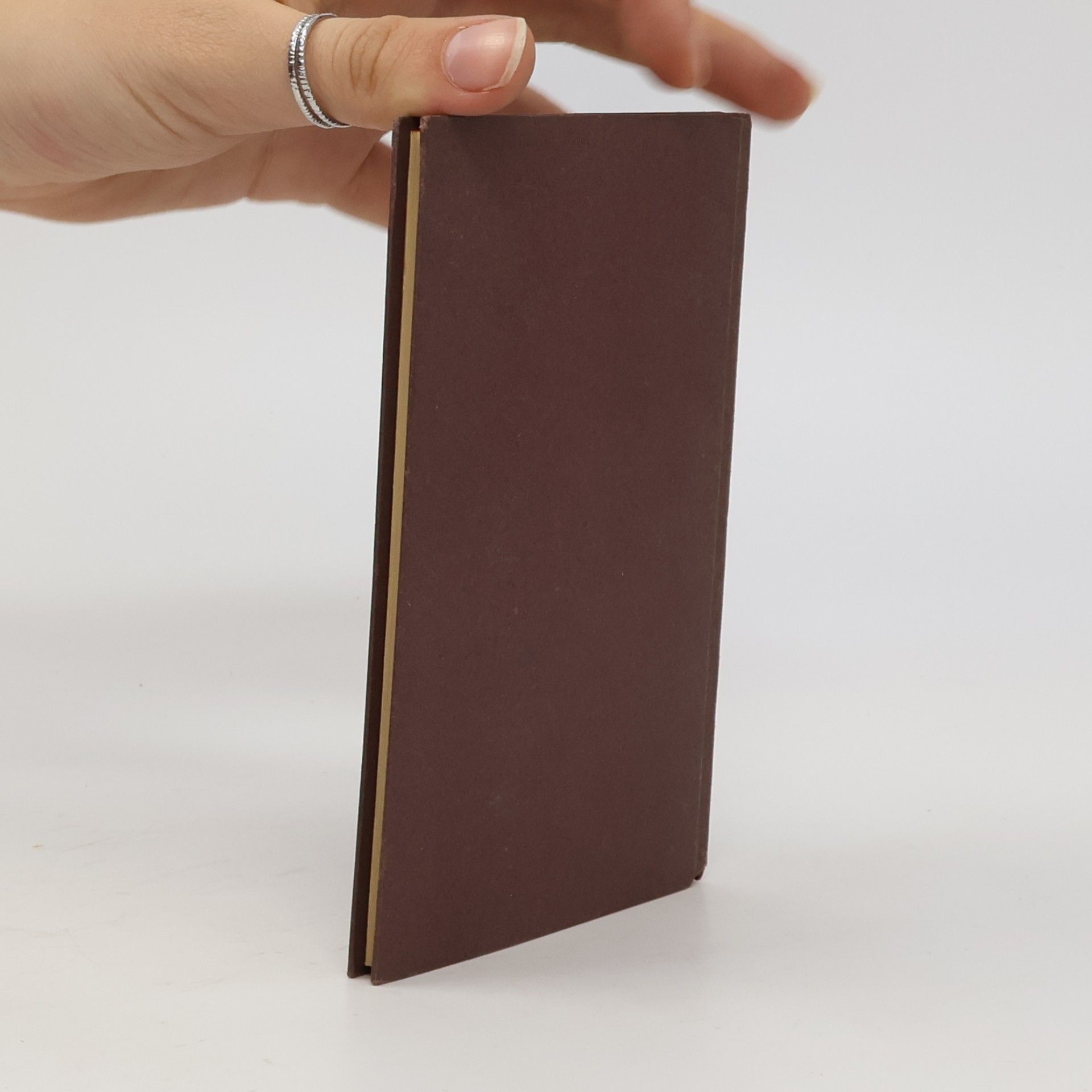 Alfons von Czibulka Das Handbuch der Malerin