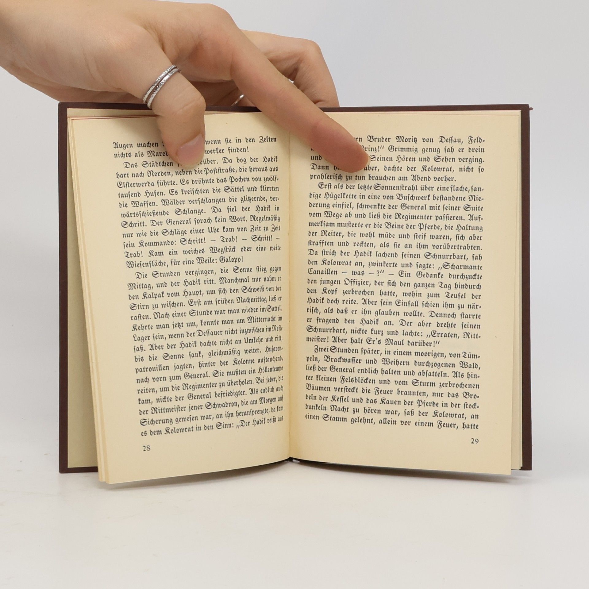 Alfons von Czibulka Das Handbuch der Malerin
