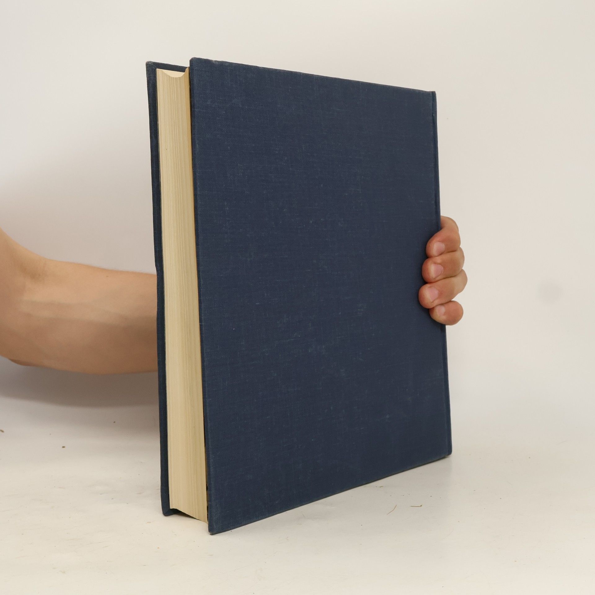 Autorenkollektiv Dějiny českého divadla II