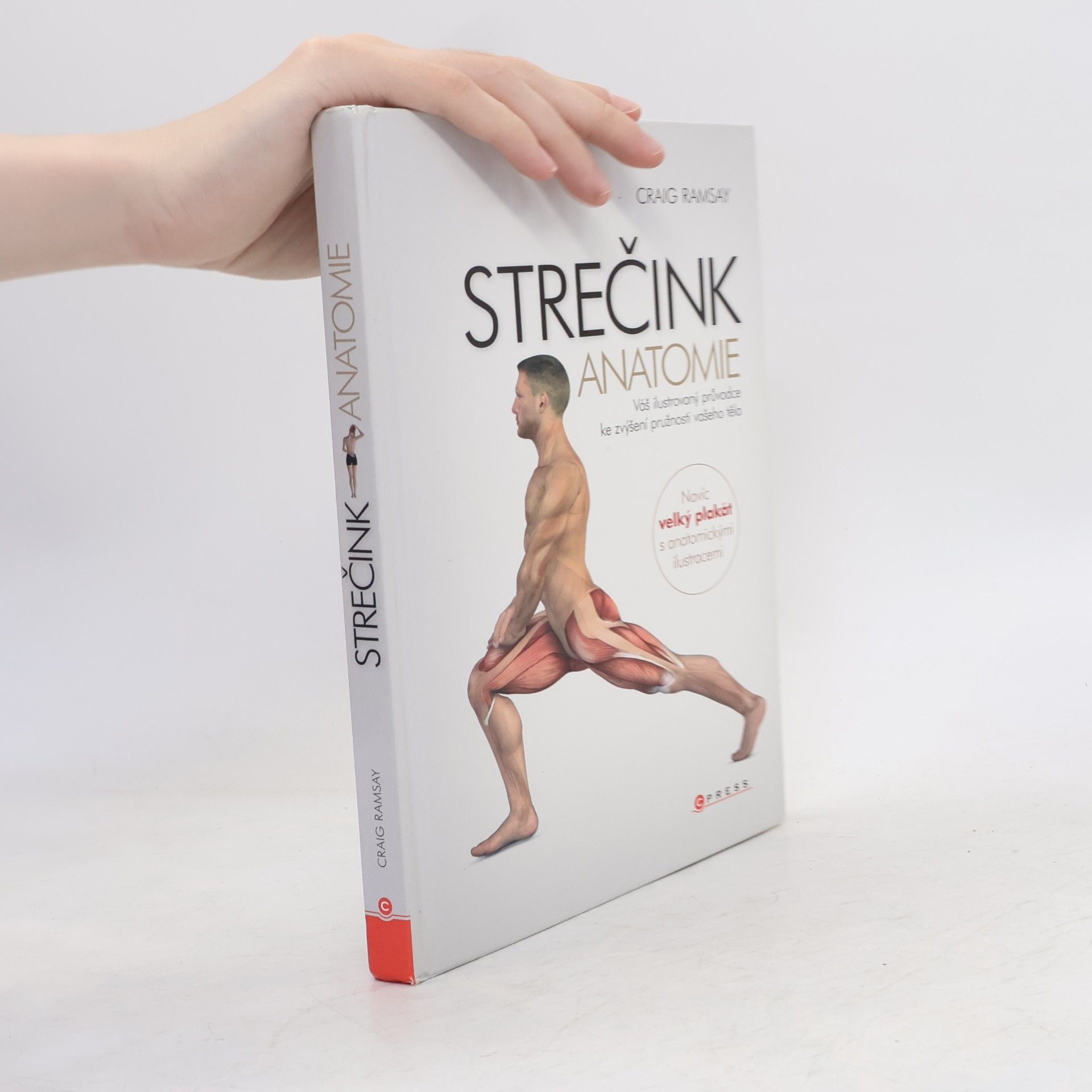 Strečink - anatomie