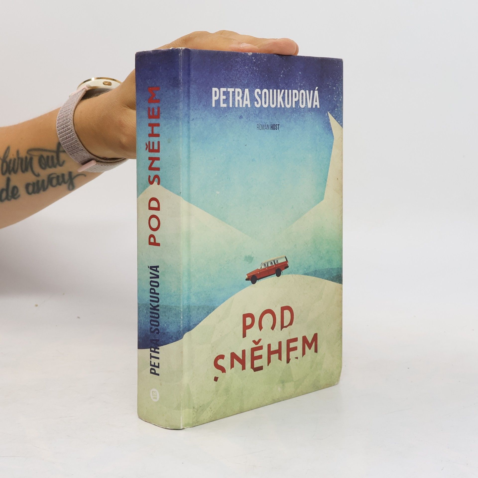 Petra Soukupova Pod sněhem