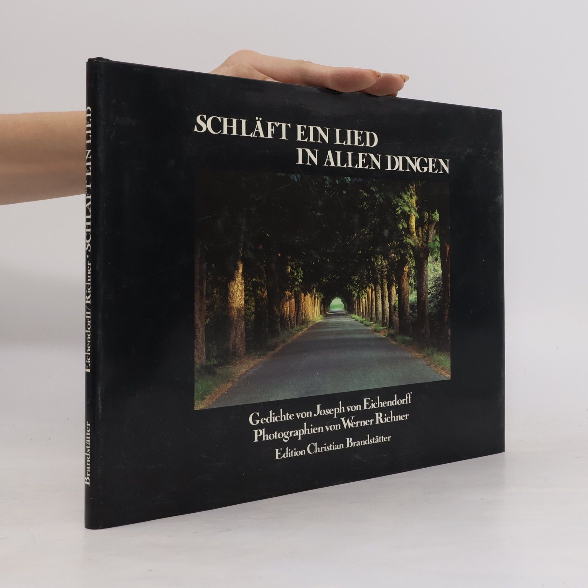 Joseph von Eichendorff Schläft ein Lied in allen Dingen