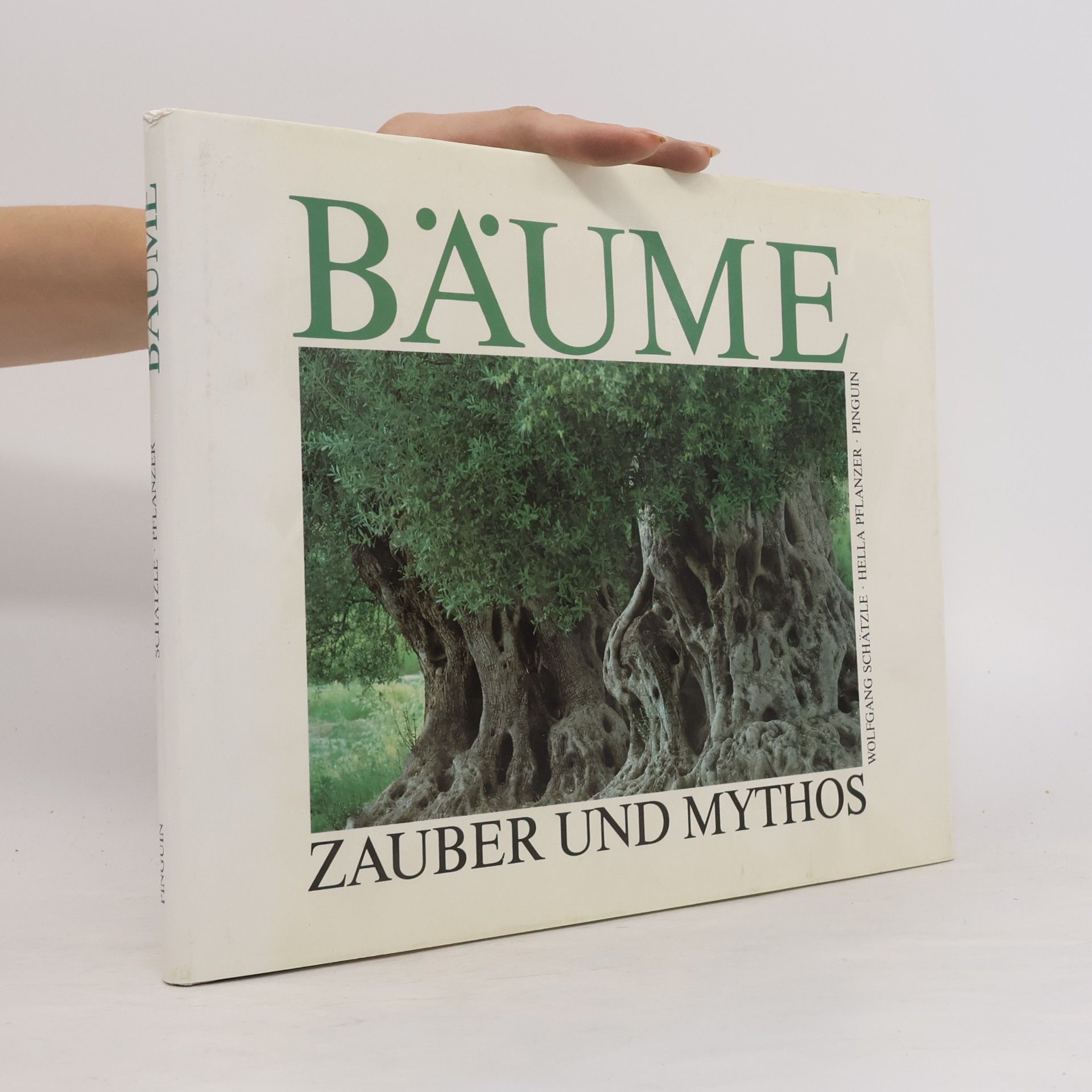 Wolfgang Schätzle Bäume