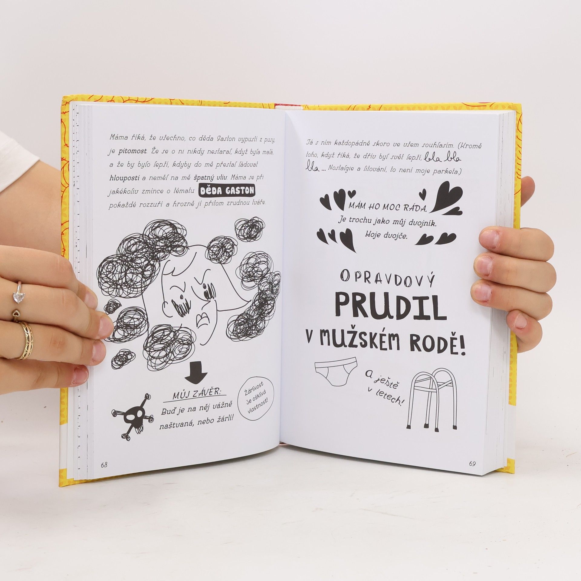 Virginy L. Sam Deník odhodlané prudilky. Fany a její rady.