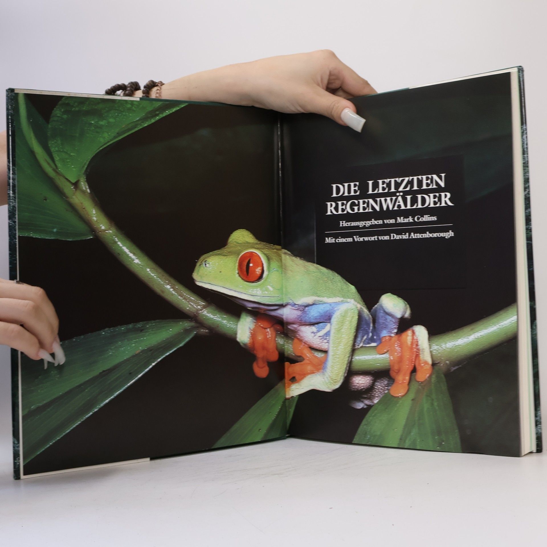 Various authors Die letzten Regenwälder