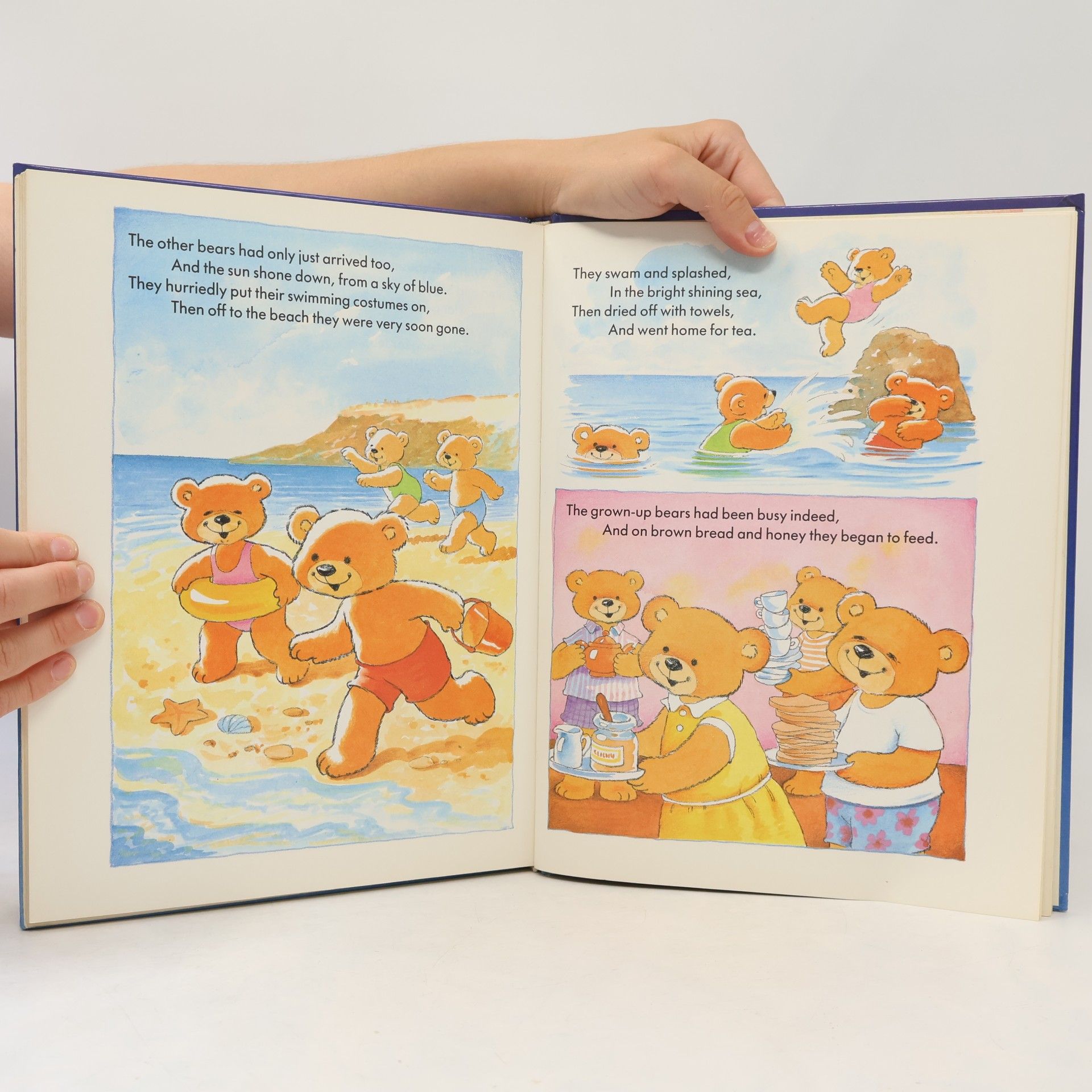 Brian Miles A Treasury of Teddy Tales
