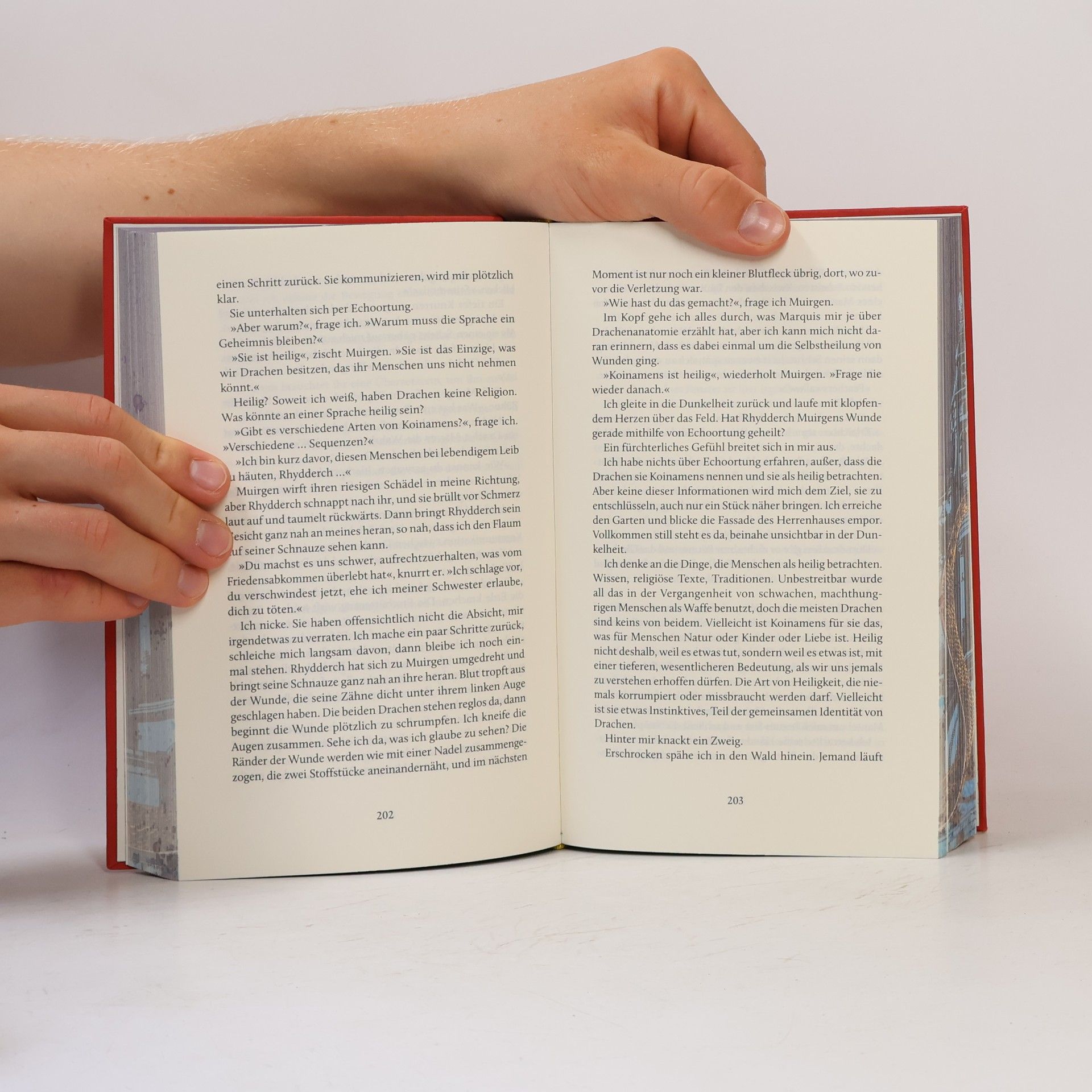 S. F. Williamson Die Sprache der Drachen